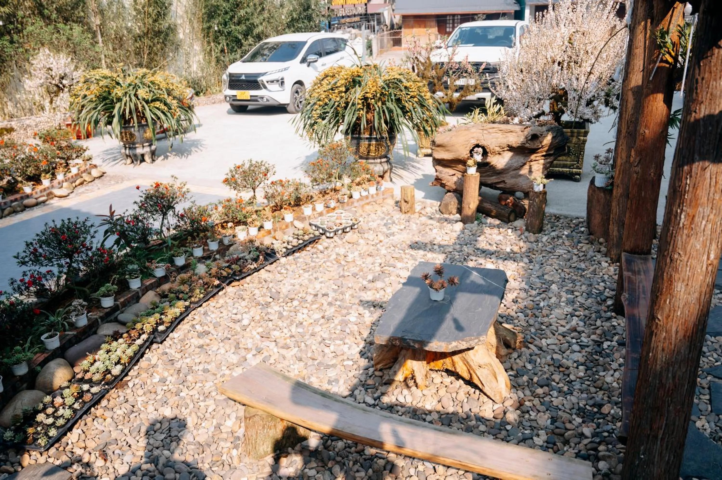 Sinai Bungalow & Hotel SaPa