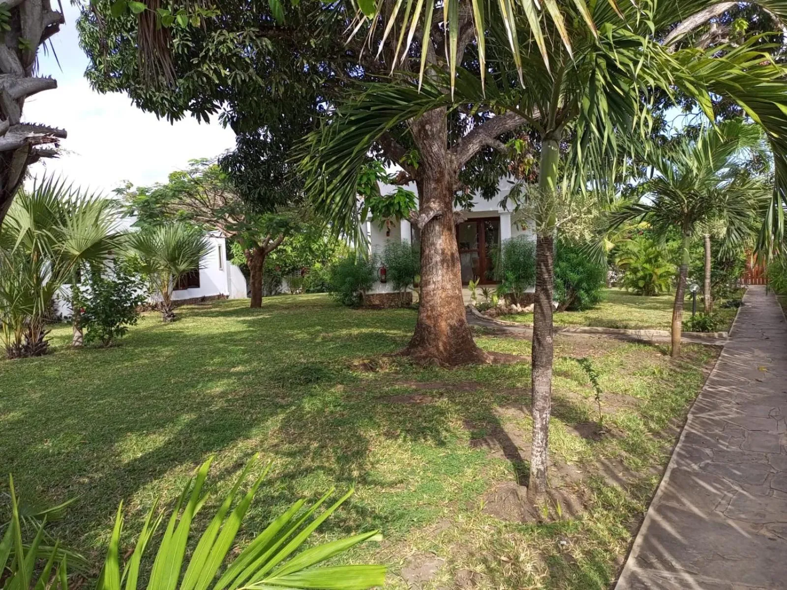 Property building in Sonrisa Villas