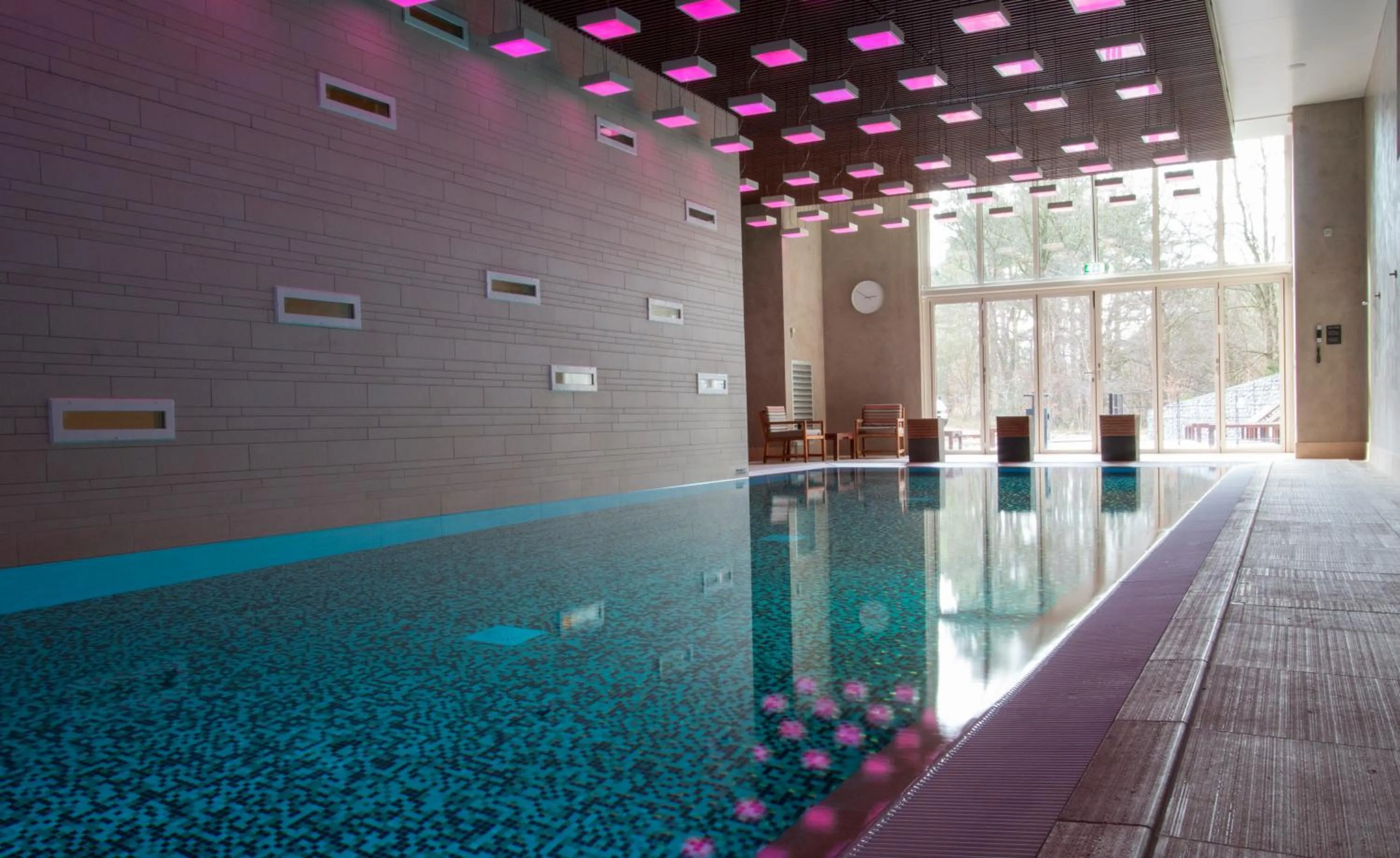 Swimming pool in blooming