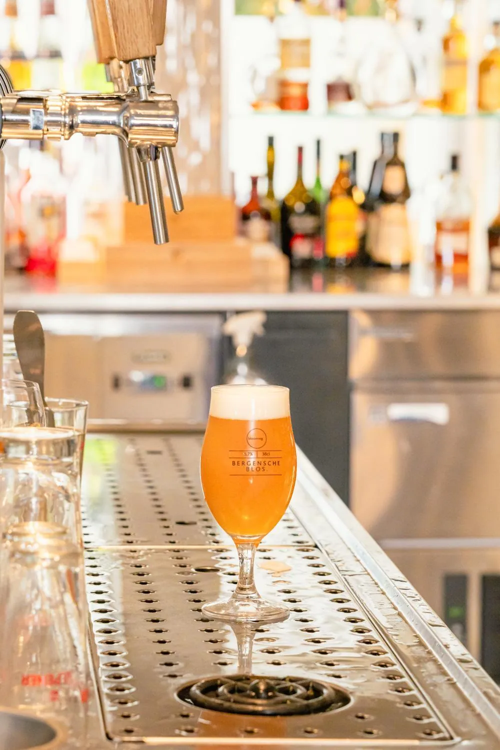 Lounge or bar in blooming