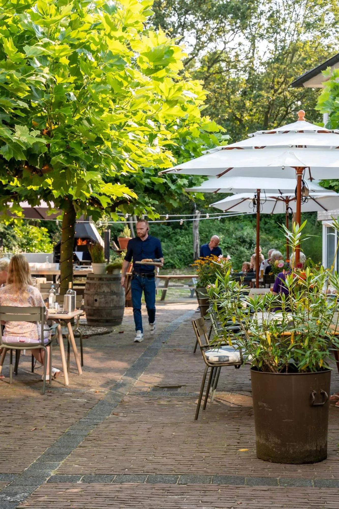 Balcony/Terrace in blooming