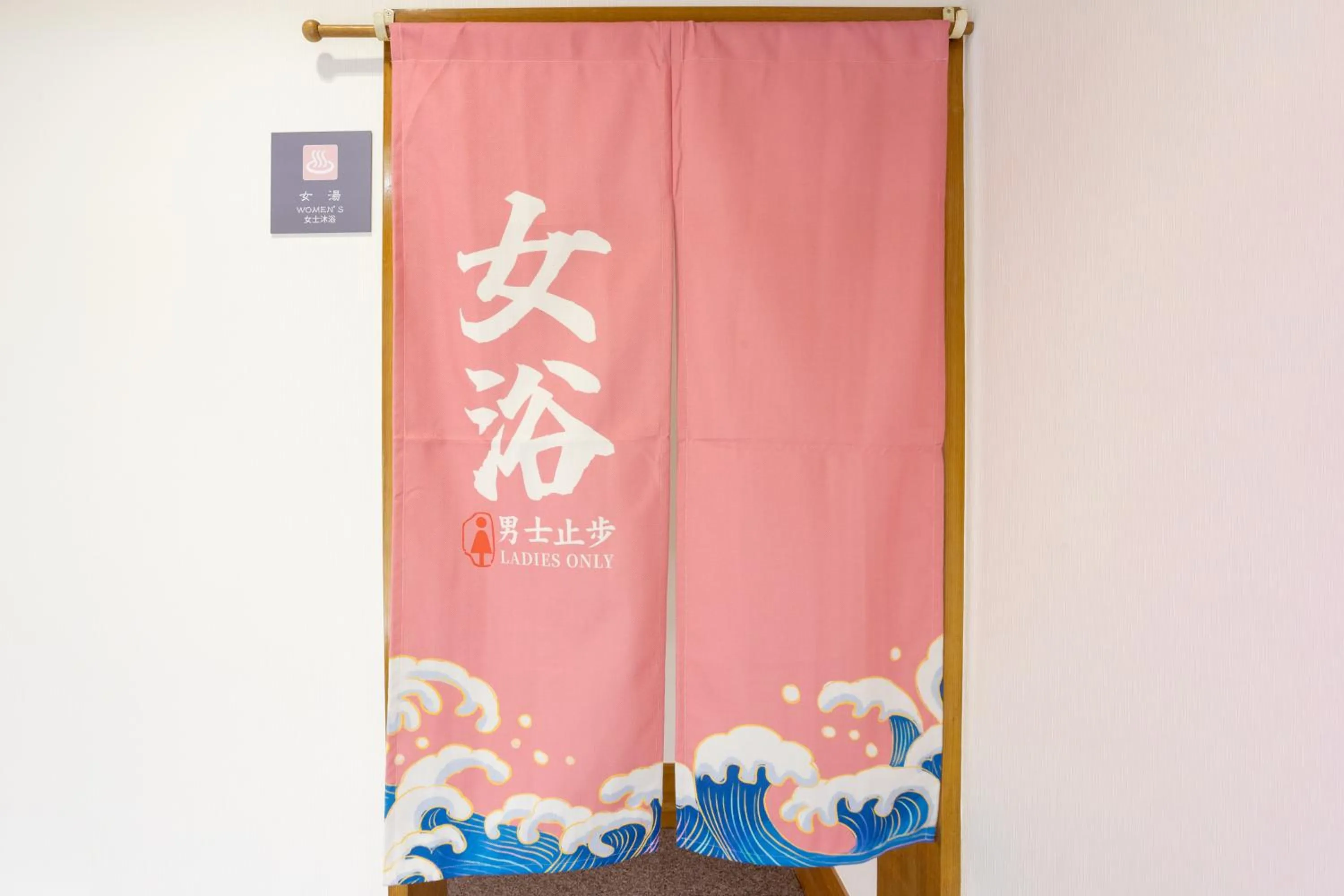 Public Bath in Hakone Ashinoko Bikeikan 箱根芦ノ湖 美景館