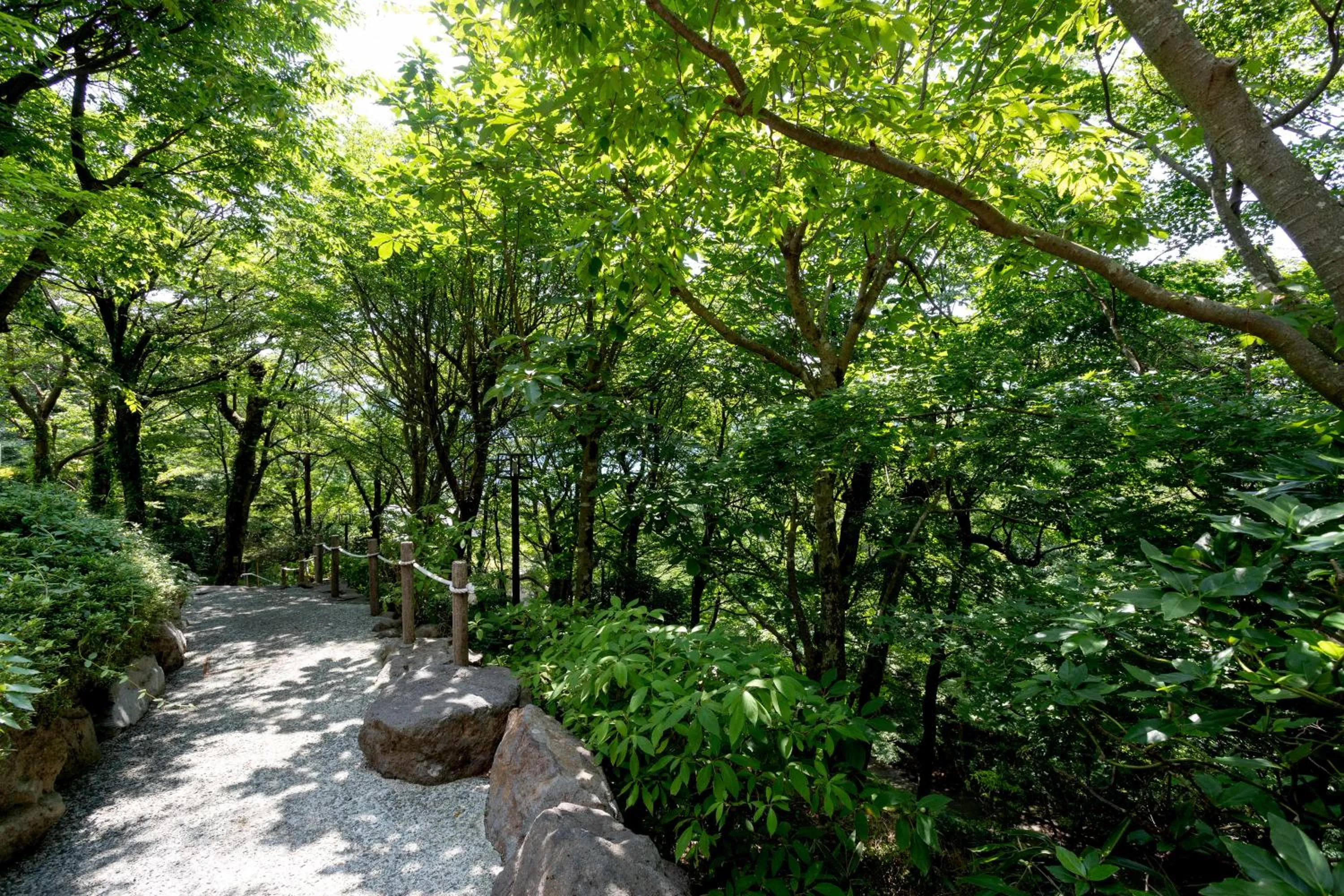 Day in Hakone Ashinoko Bikeikan 箱根芦ノ湖 美景館