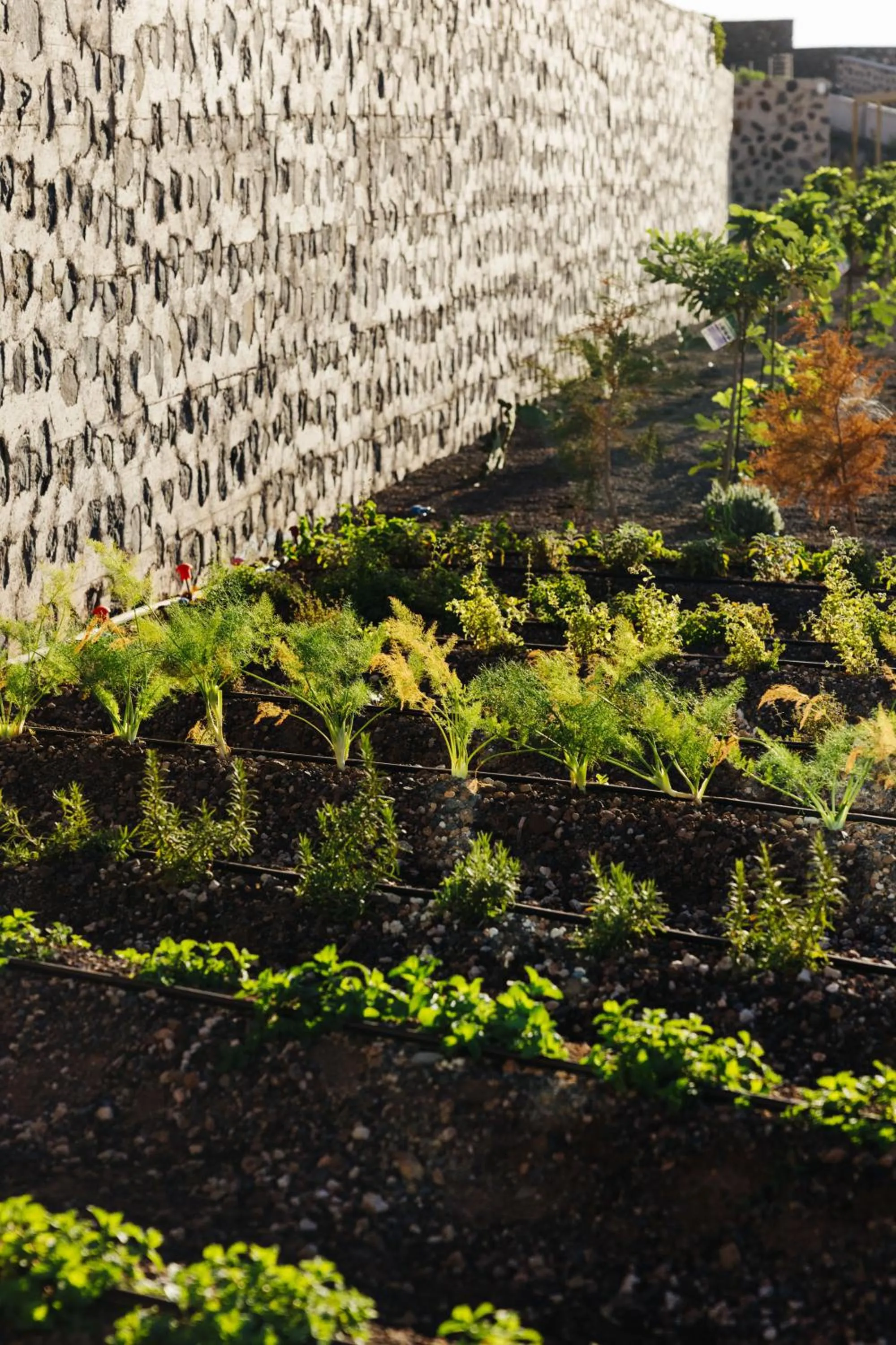 Off site in BANCAL HOTEL and SPA