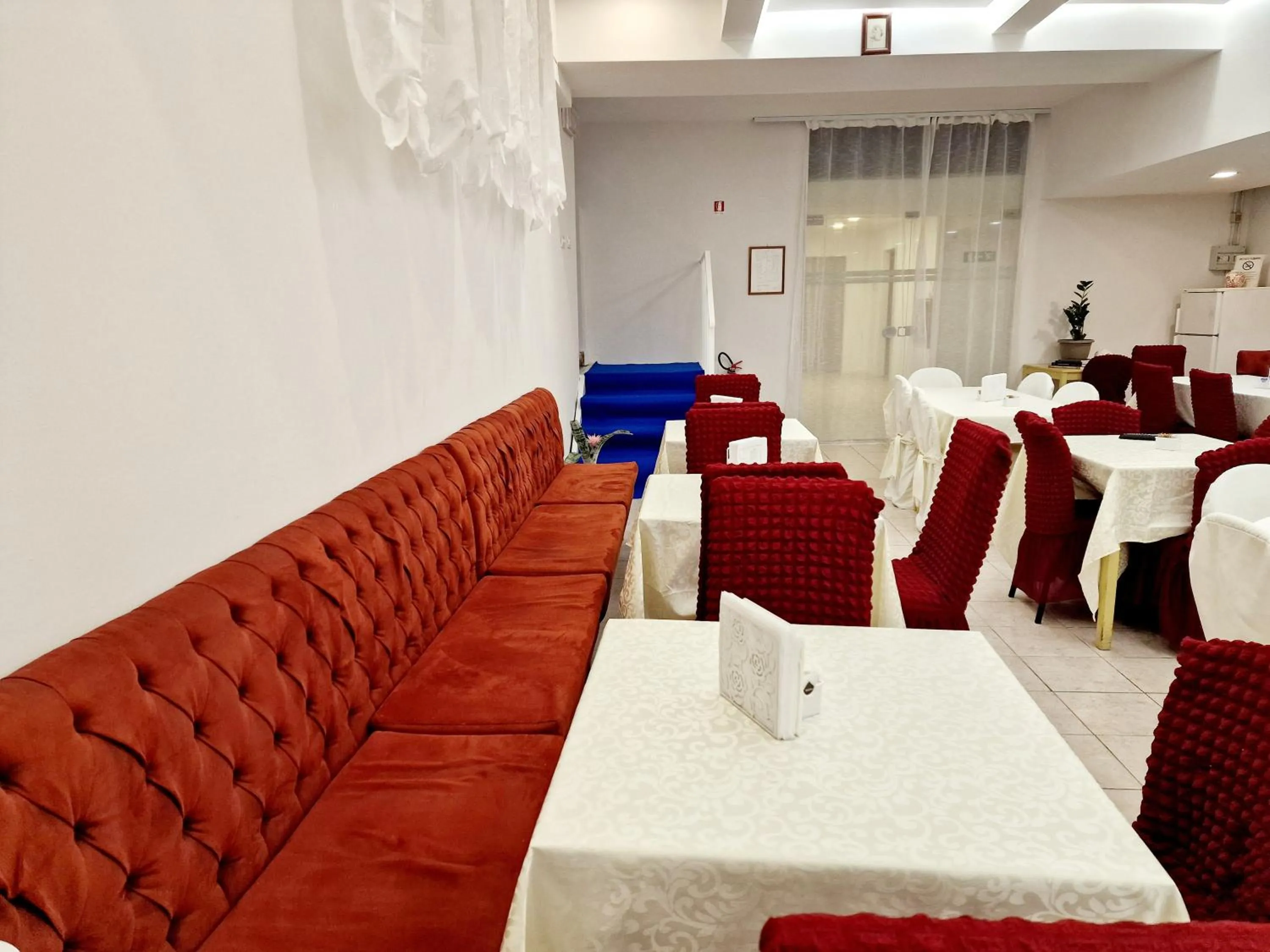 Diving in Hotel Firenze 2000