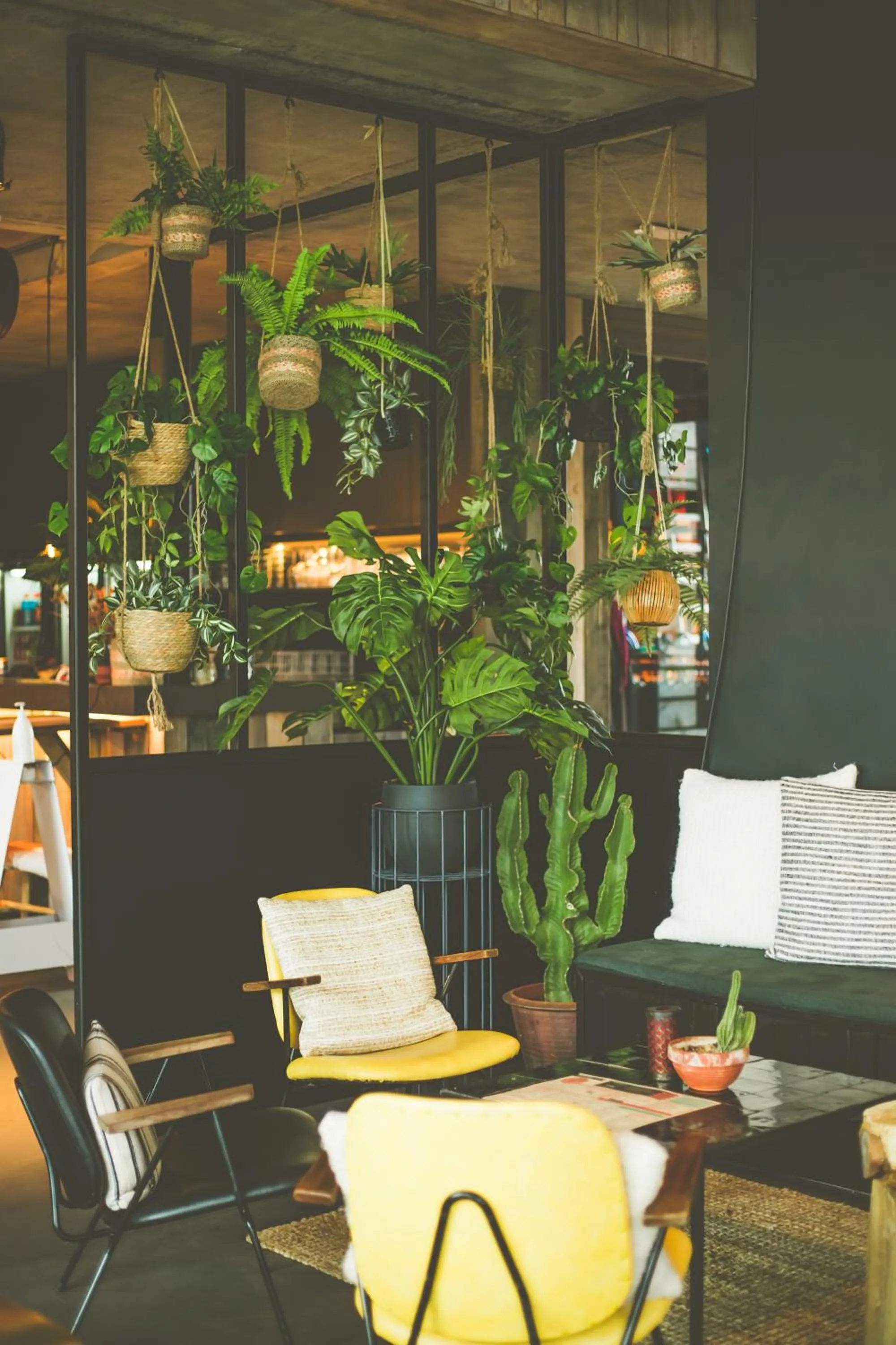 Restaurant/places to eat in Lakeside Paradise Sport Hostel