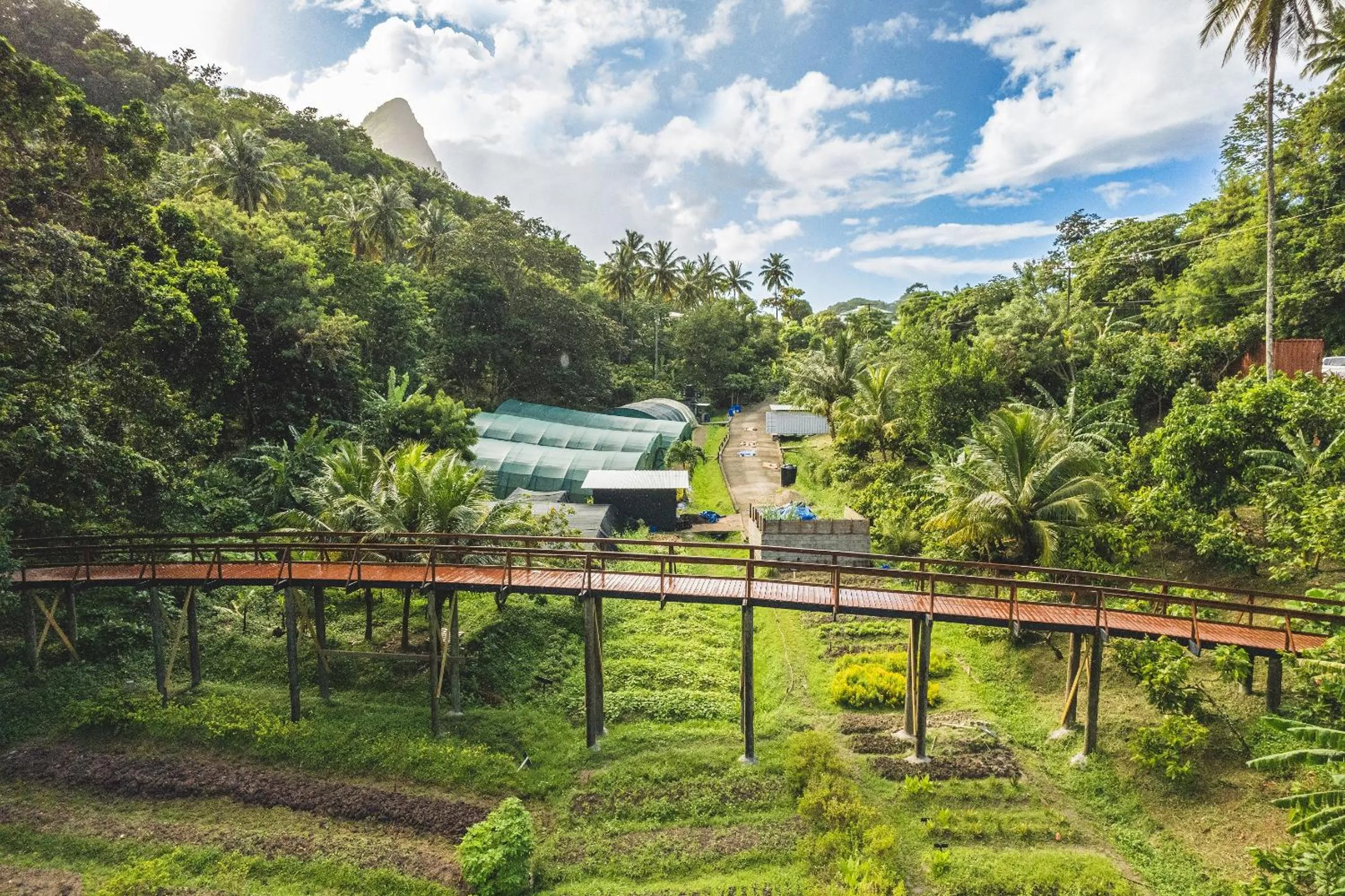Natural landscape in Rabot Hotel From Hotel Chocolat