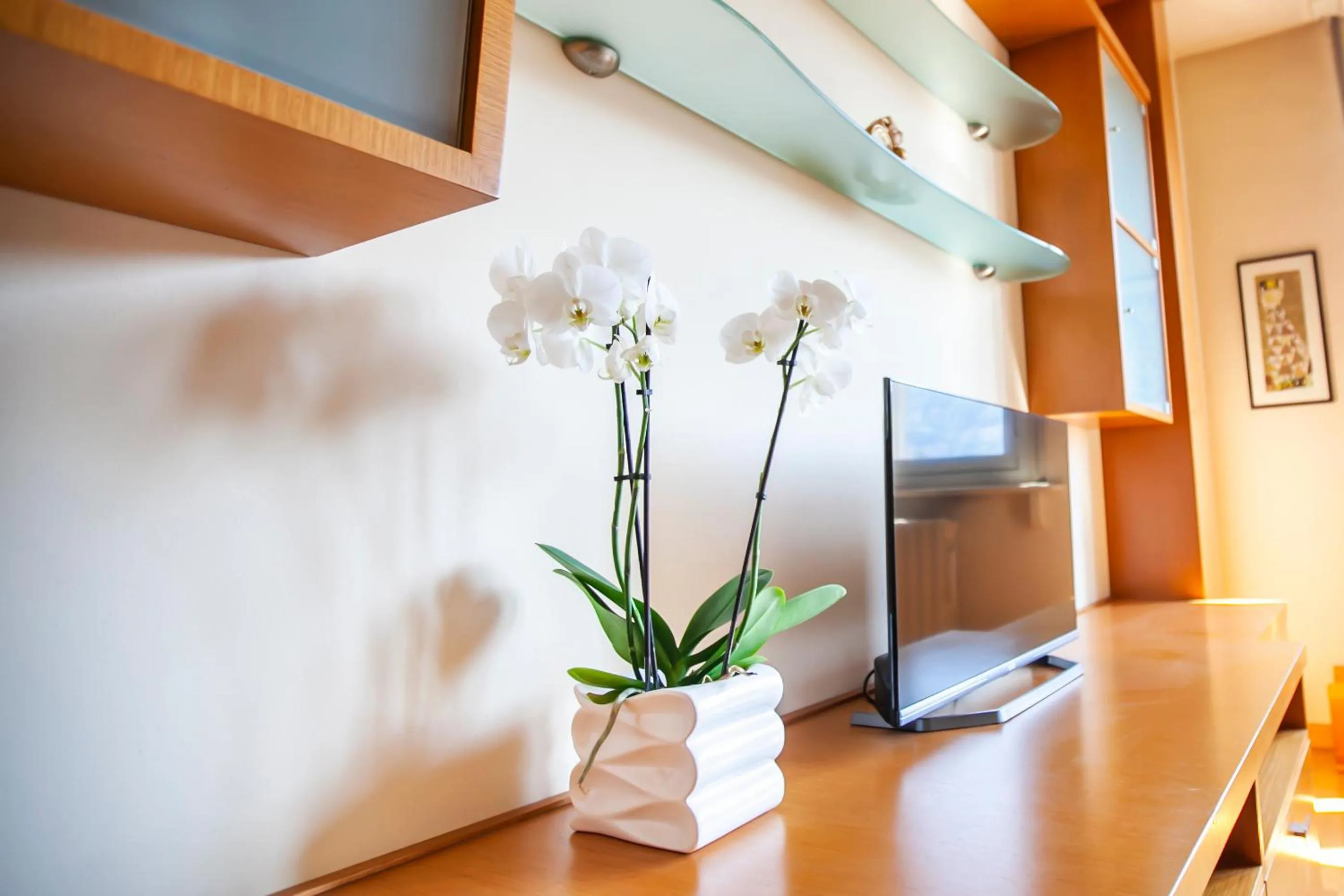 TV and multimedia in Skyline by Comorooms