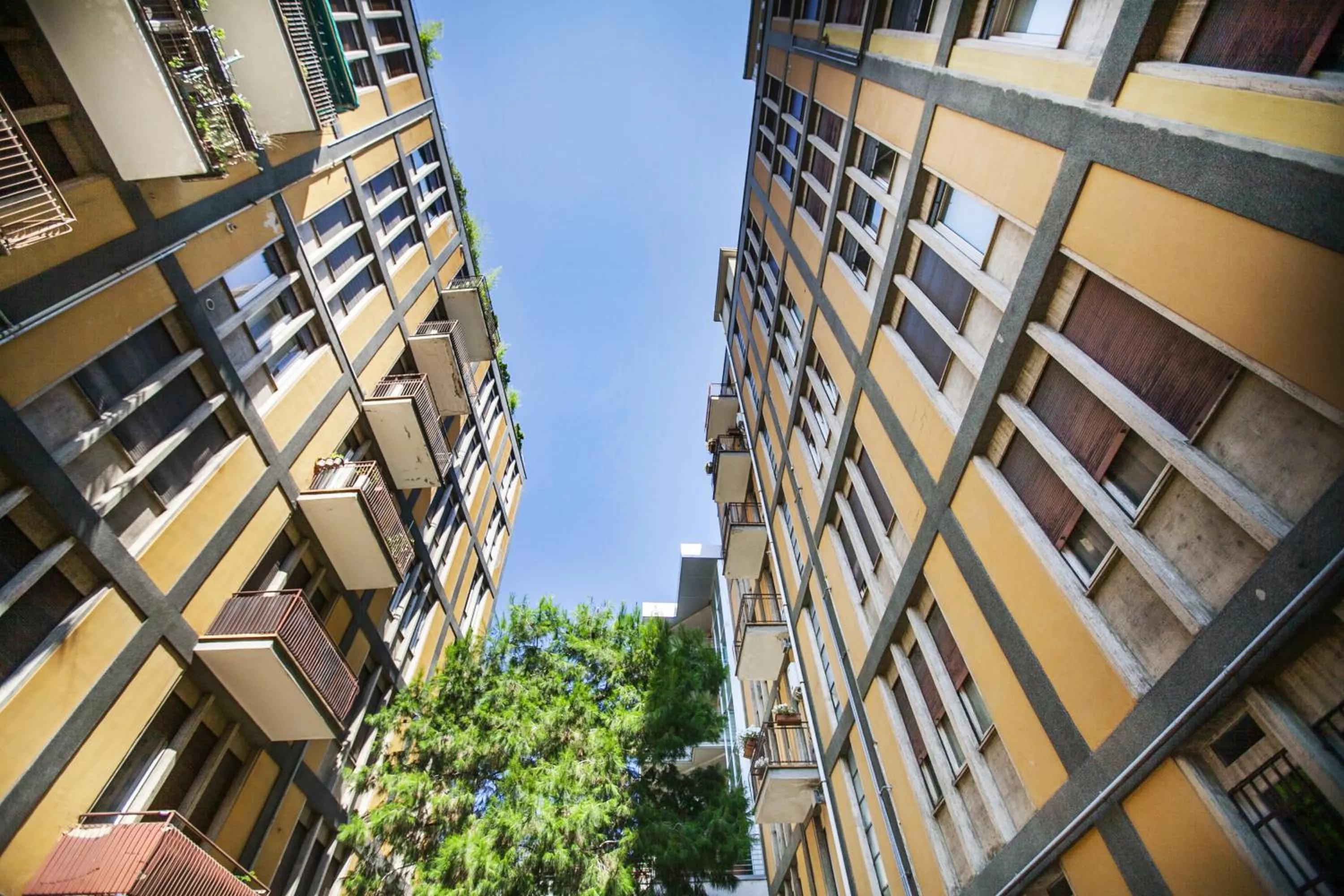 Property building in Skyline by Comorooms