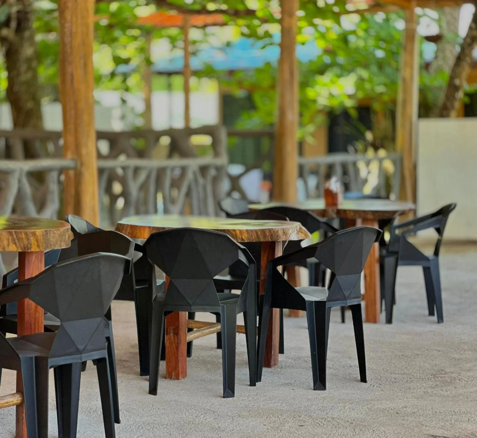 Restaurant/places to eat in El Deseo Serendipity Tortuguero