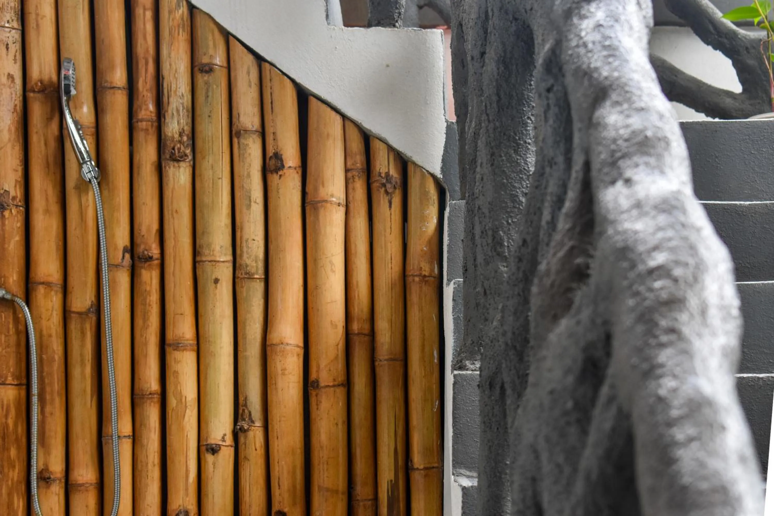 Property building in El Deseo Serendipity Tortuguero