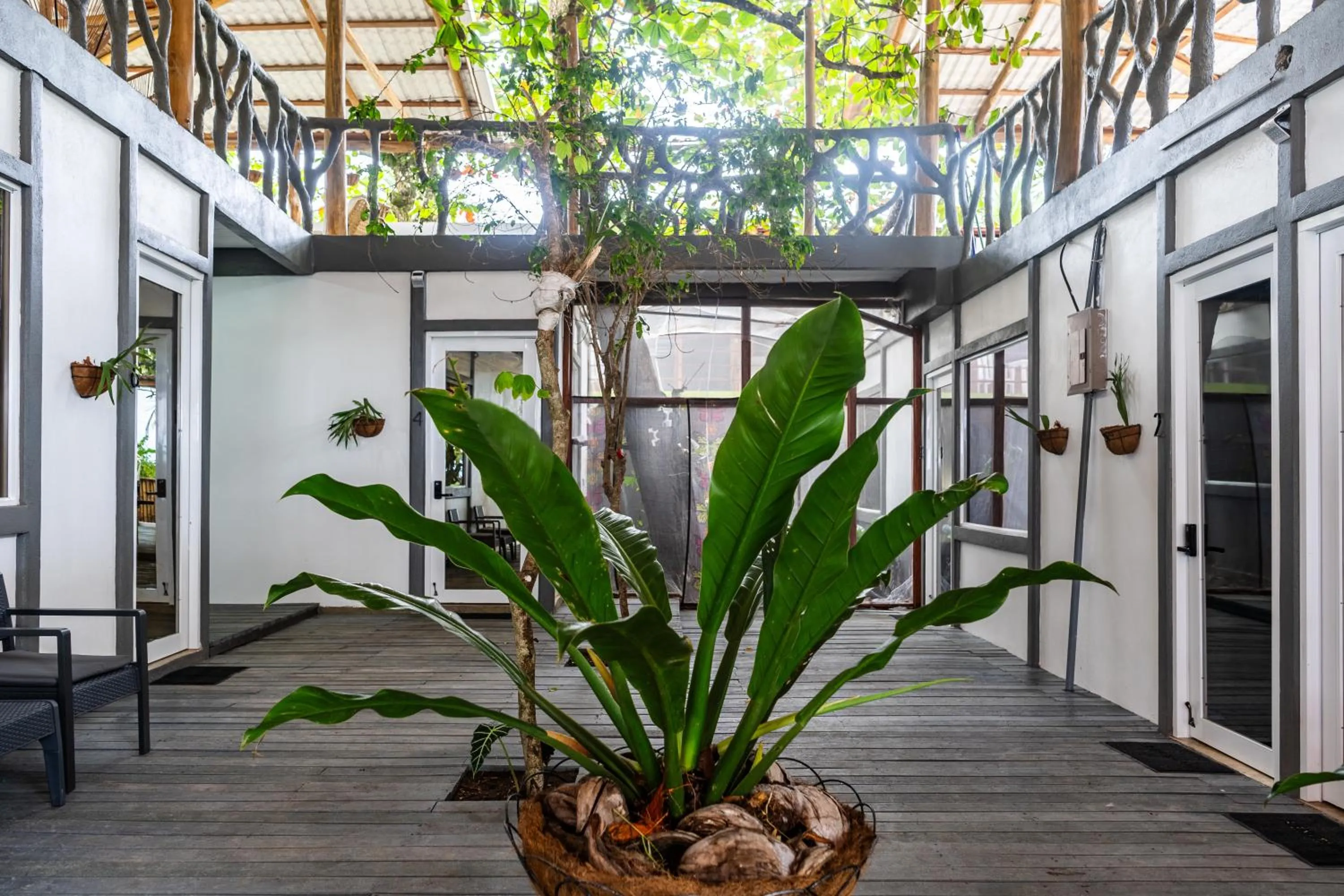 Garden in El Deseo Serendipity Tortuguero