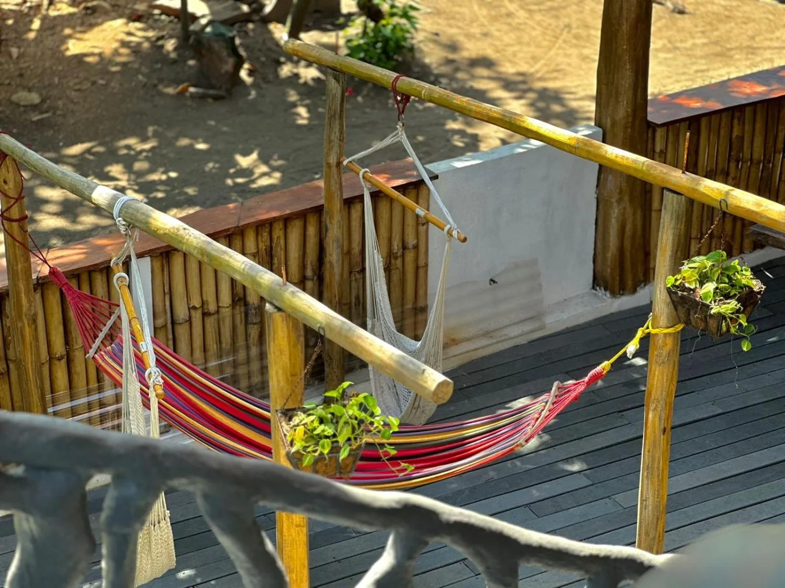 Garden in El Deseo Serendipity Tortuguero