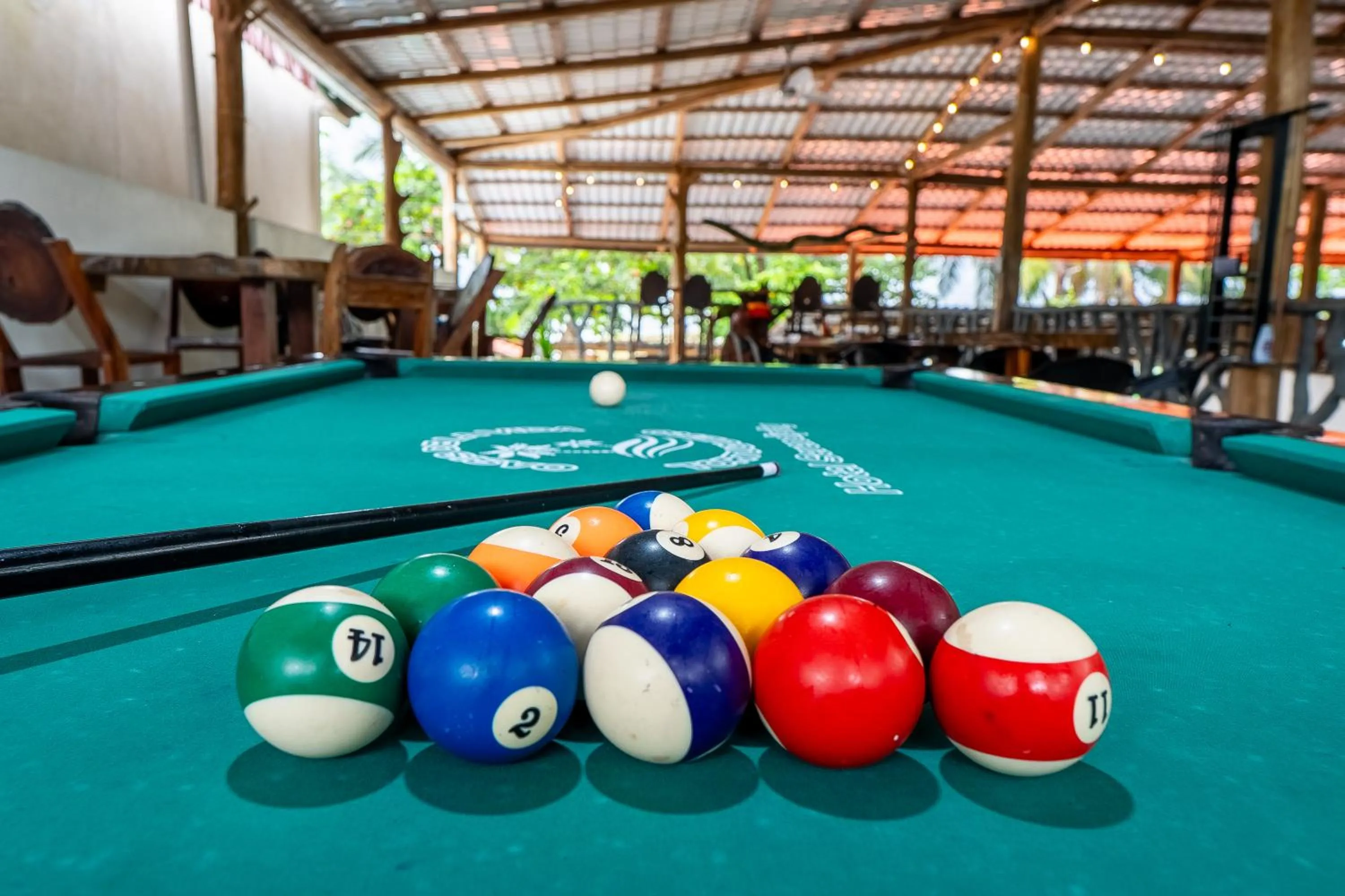 El Deseo Serendipity Tortuguero