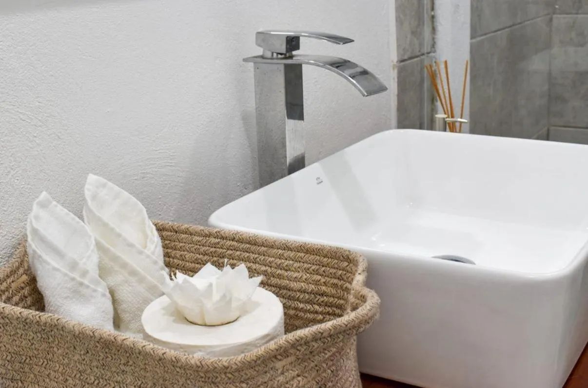 El Deseo Serendipity Tortuguero