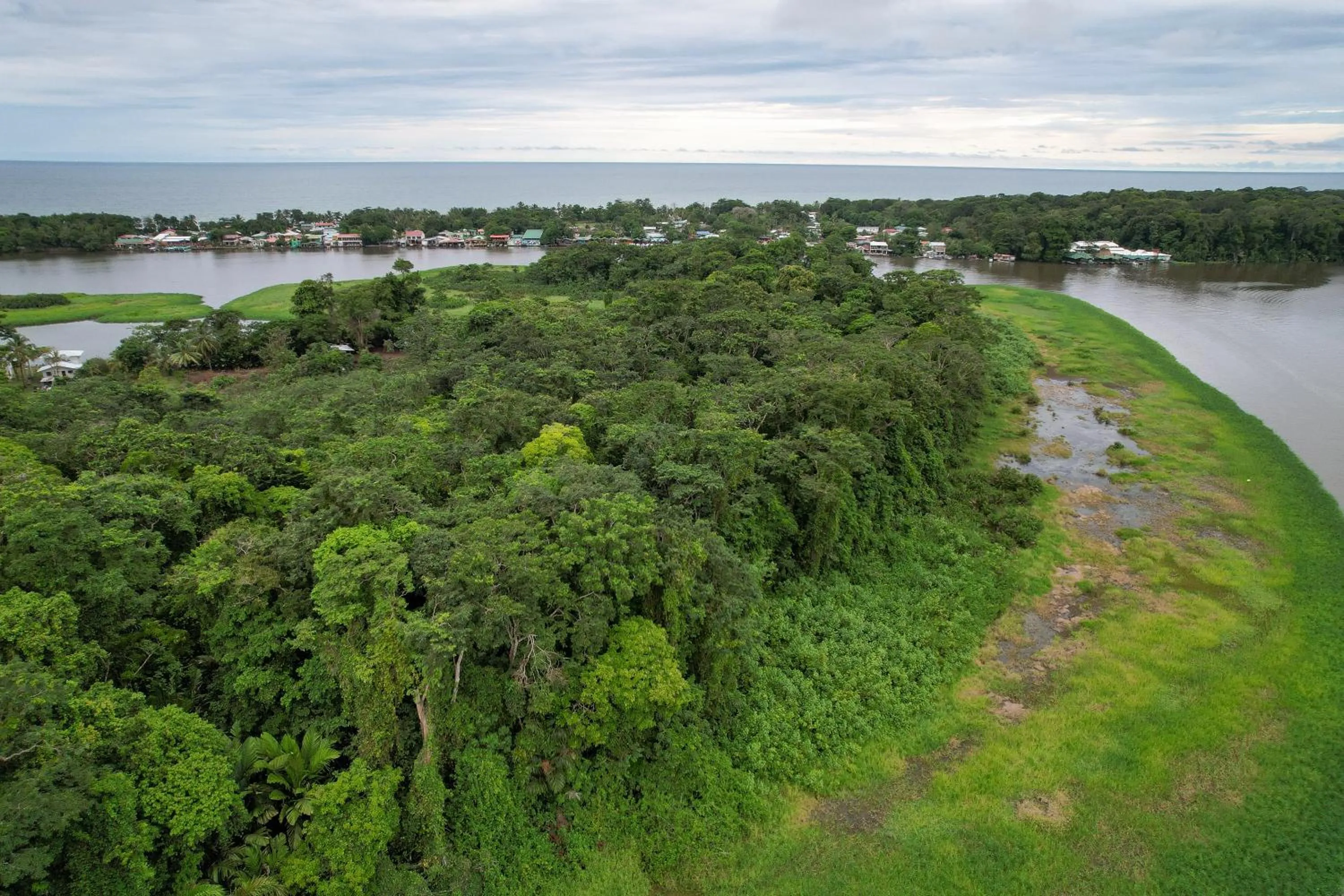 Day in El Deseo Serendipity Tortuguero