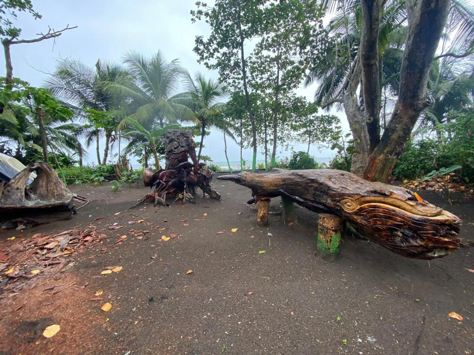Natural landscape in El Deseo Serendipity Tortuguero