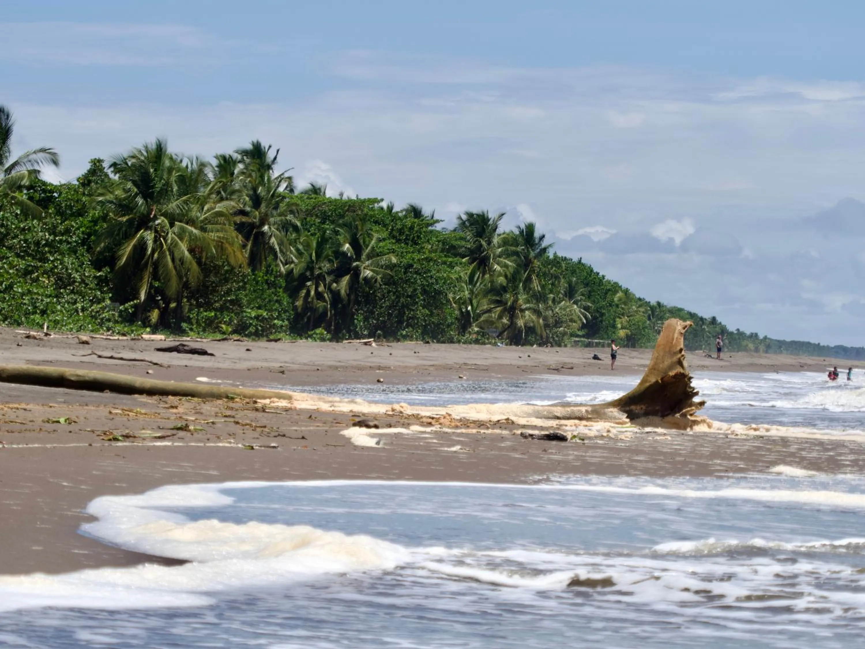 Natural landscape in El Deseo Serendipity Tortuguero
