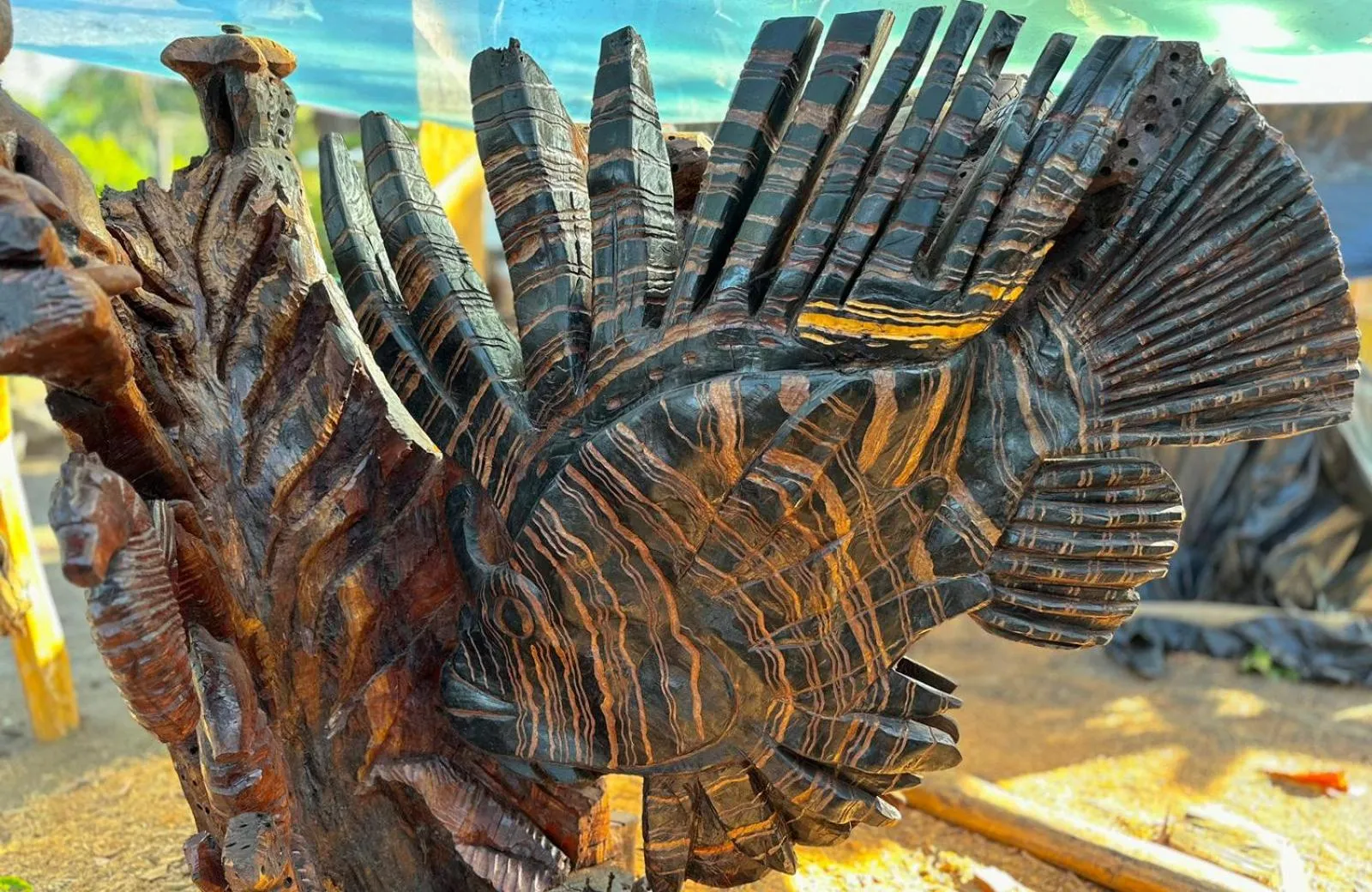 Day in El Deseo Serendipity Tortuguero