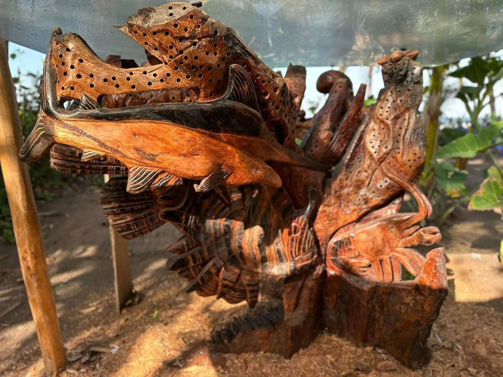 Natural landscape in El Deseo Serendipity Tortuguero