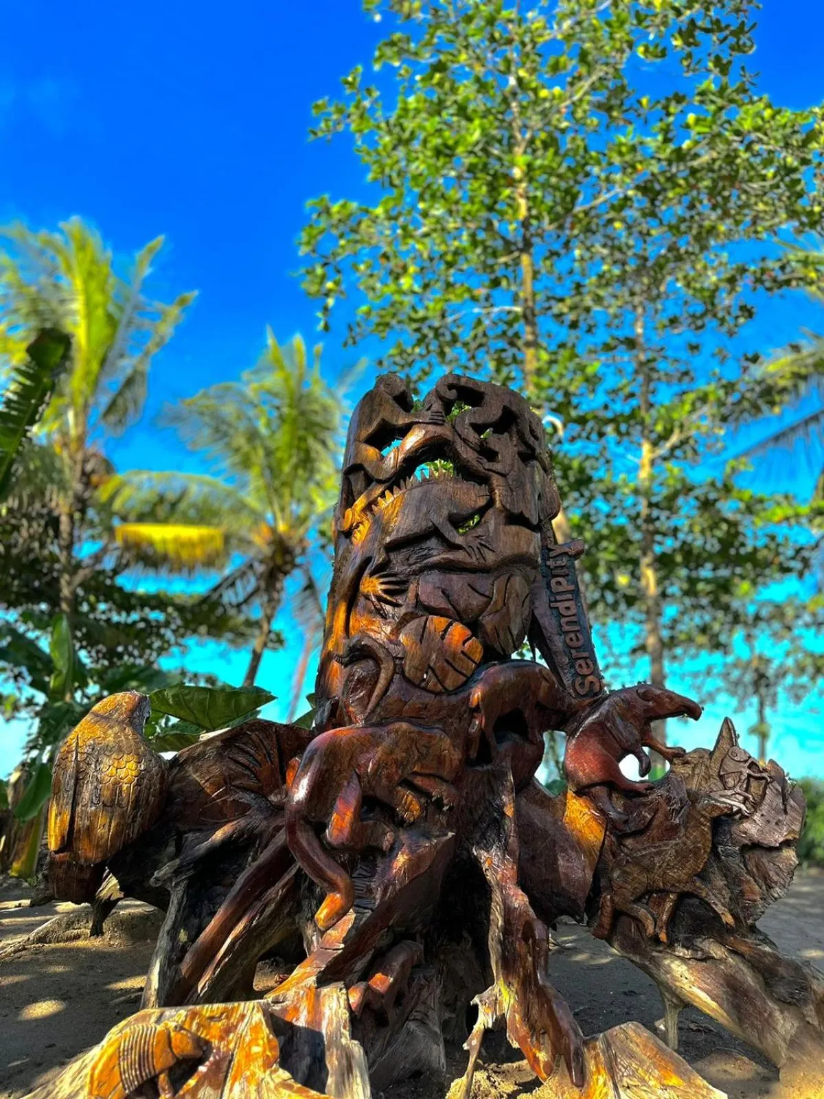 Day in El Deseo Serendipity Tortuguero