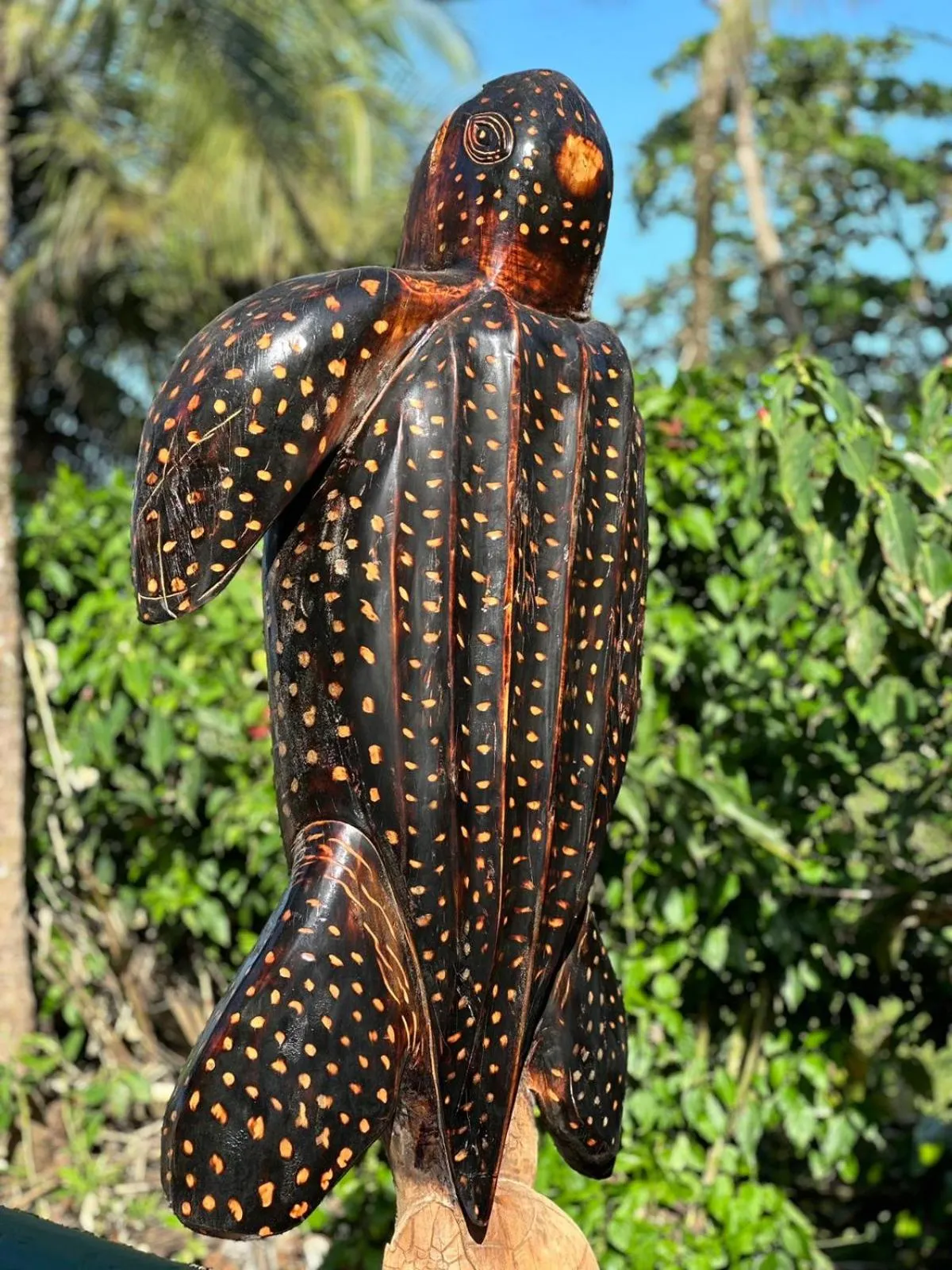 Day in El Deseo Serendipity Tortuguero