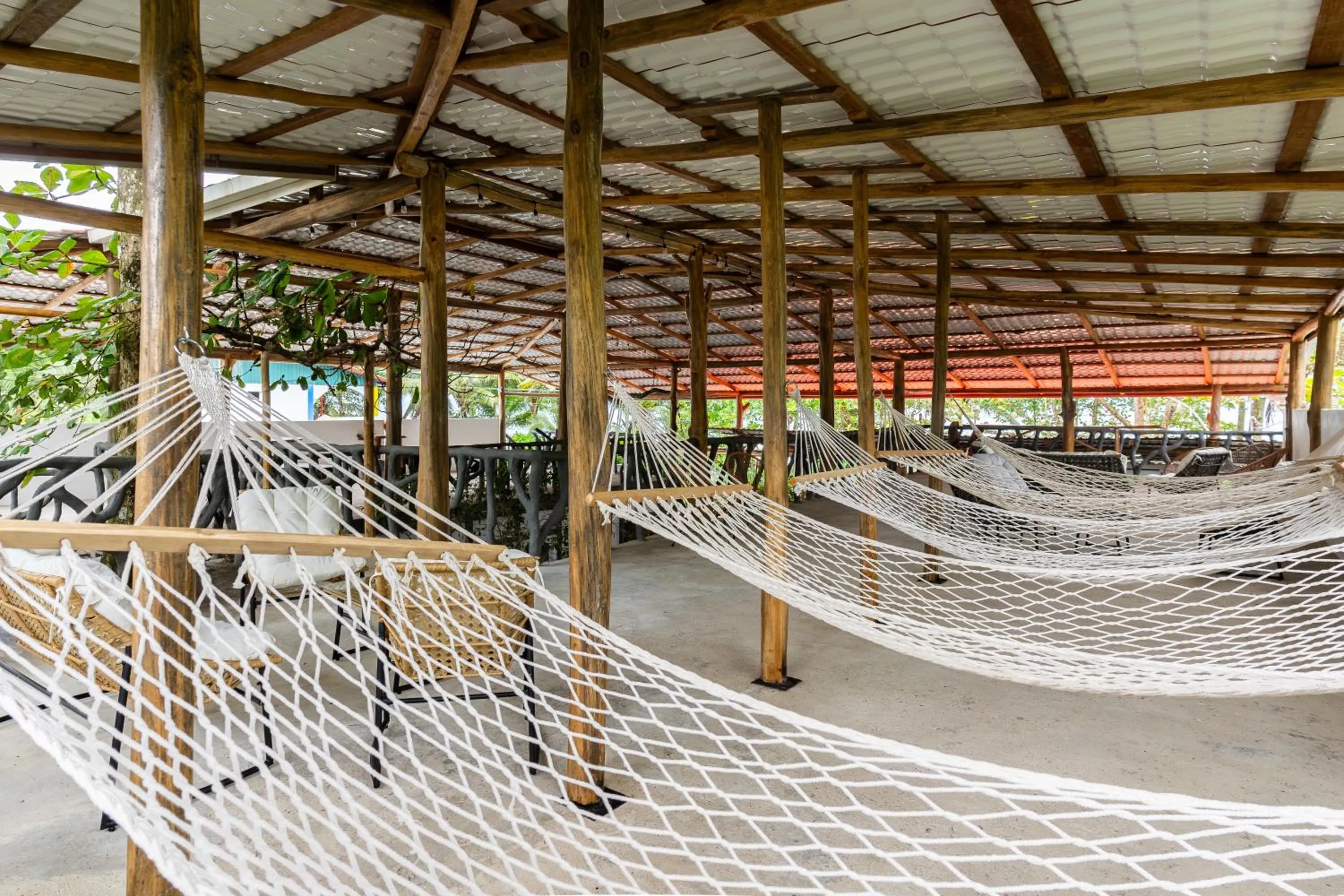 Day in El Deseo Serendipity Tortuguero