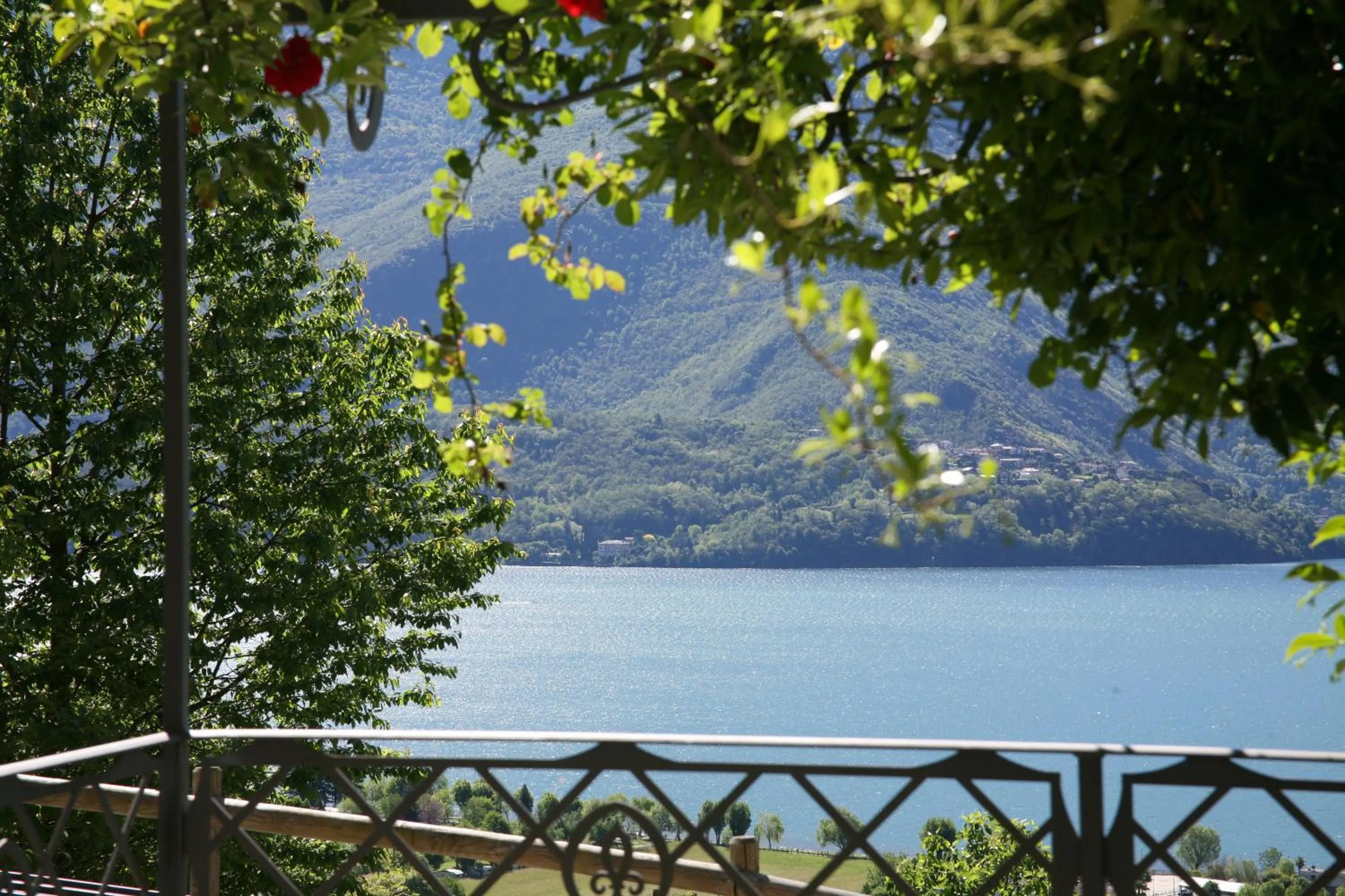 Lake view in Residence Giglio Comer See