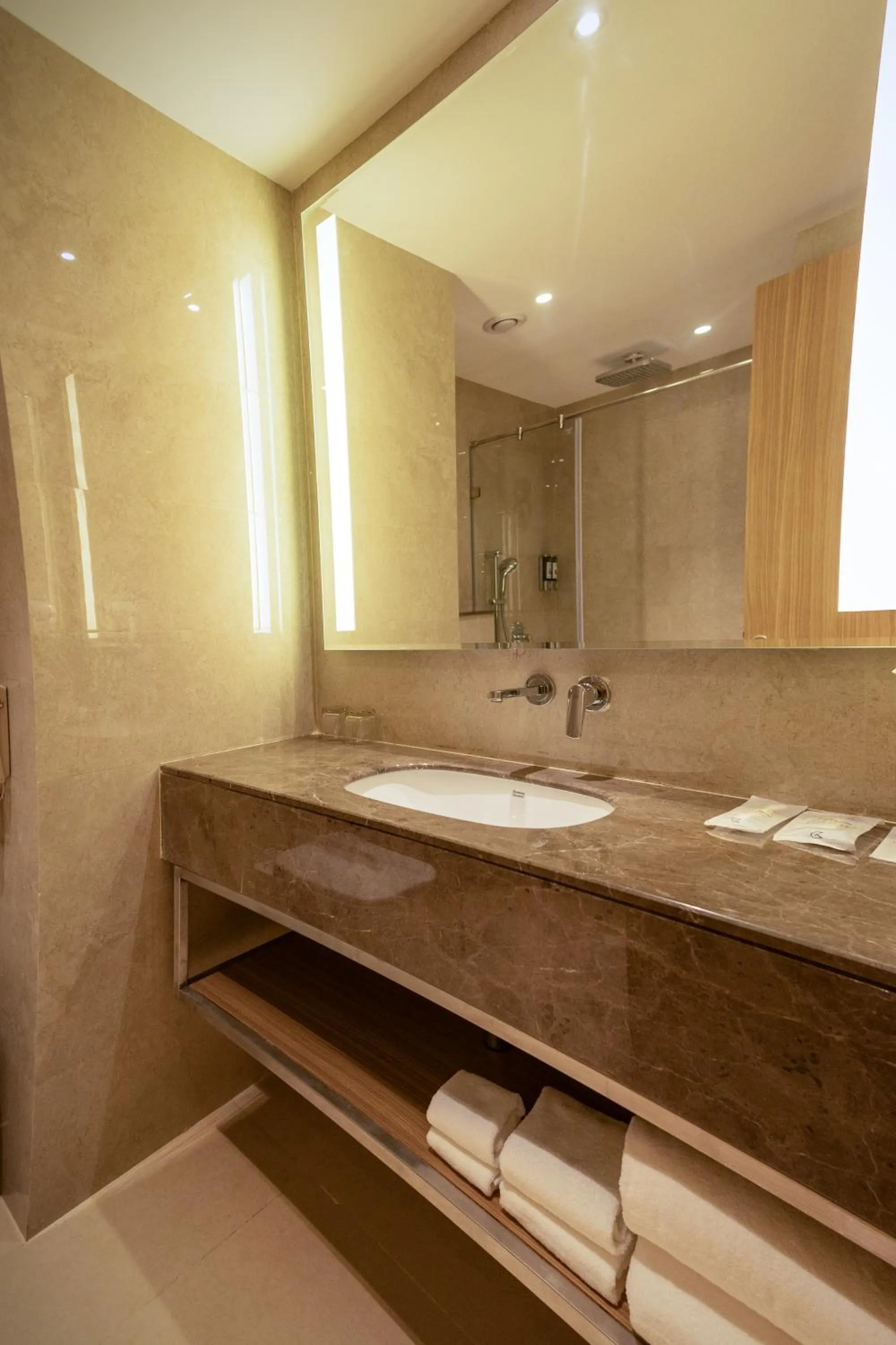 Bathroom in Golden Tulip Bhopal