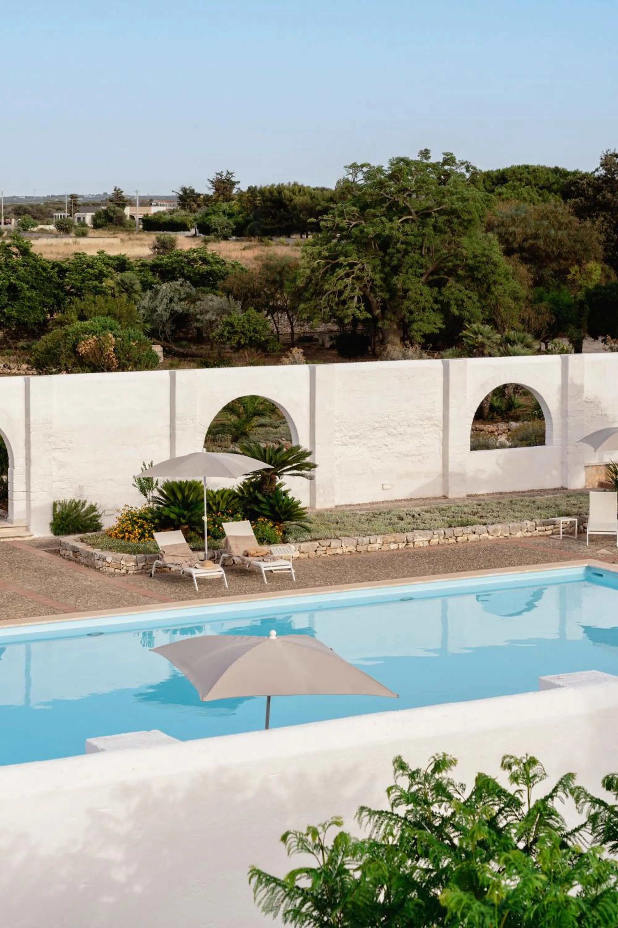 Swimming pool in Masseria Gorgognolo