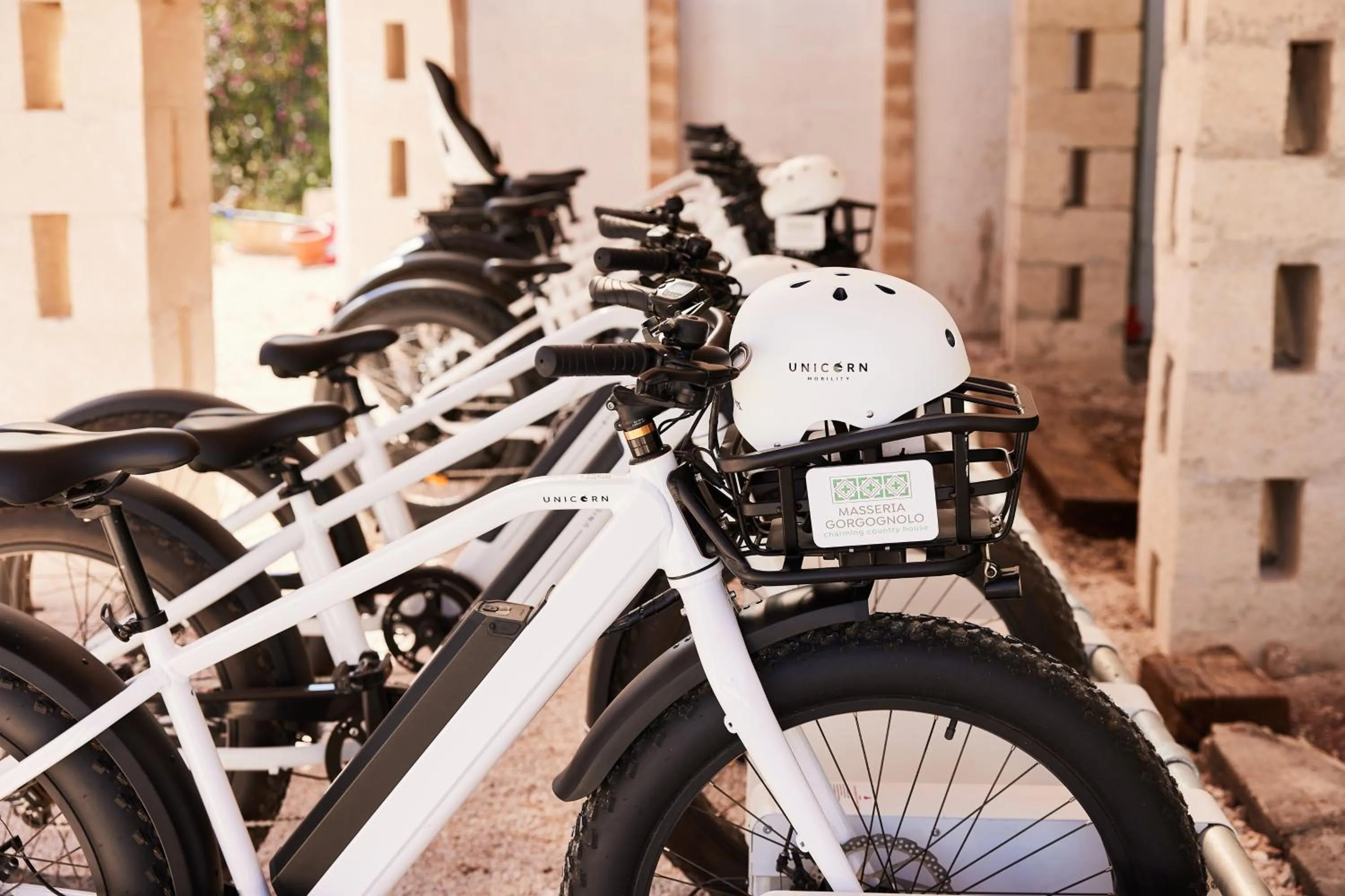 Other in Masseria Gorgognolo