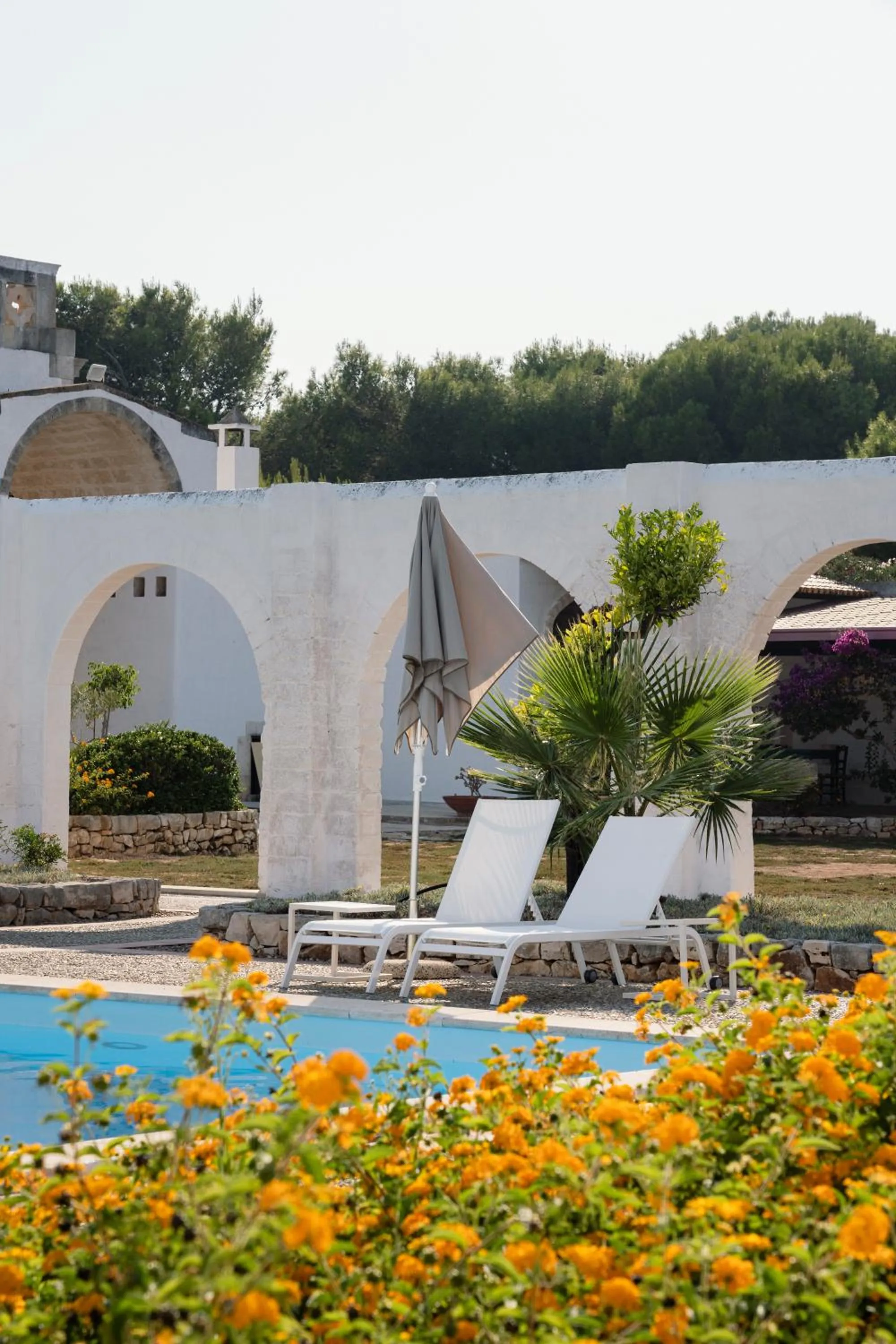 Swimming pool in Masseria Gorgognolo