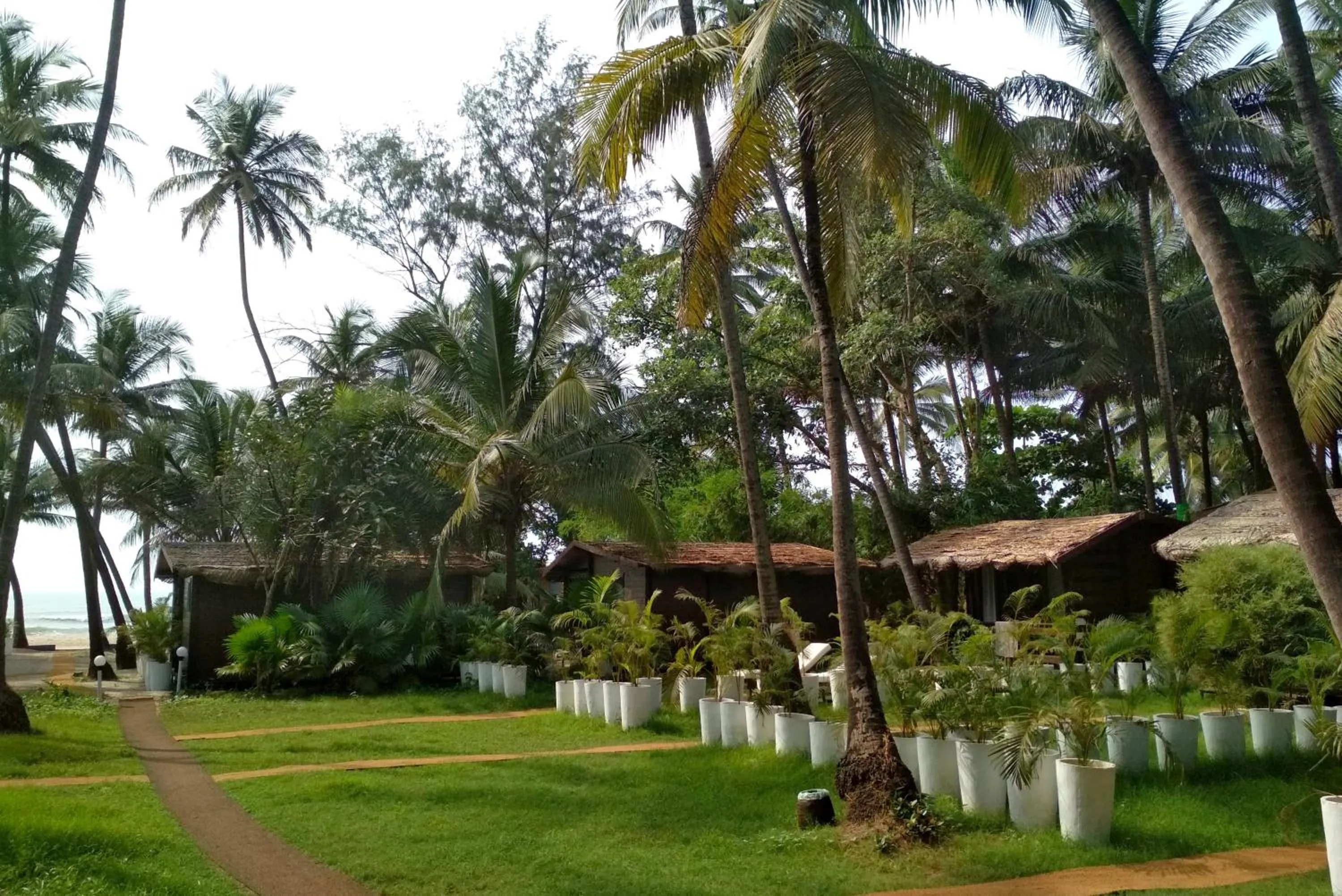 Garden in Mamagoa Beach Resort