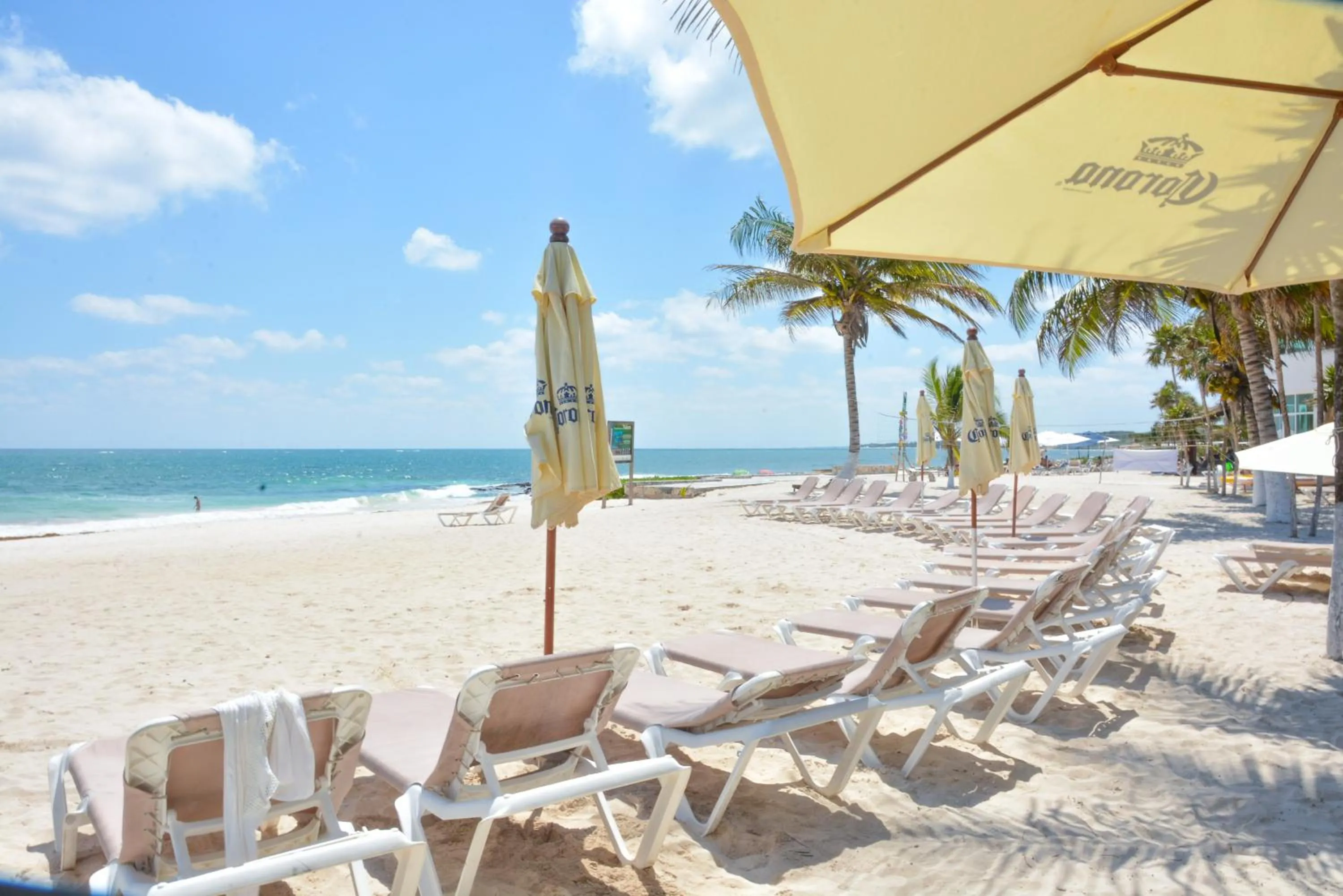 Lounge or bar in Caleta Tankah