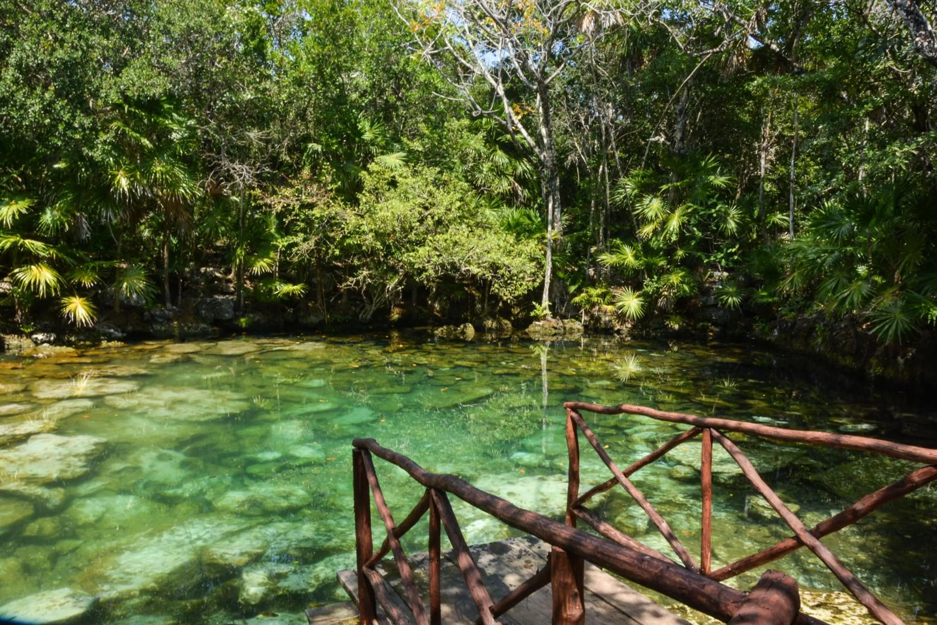 Natural landscape in Caleta Tankah
