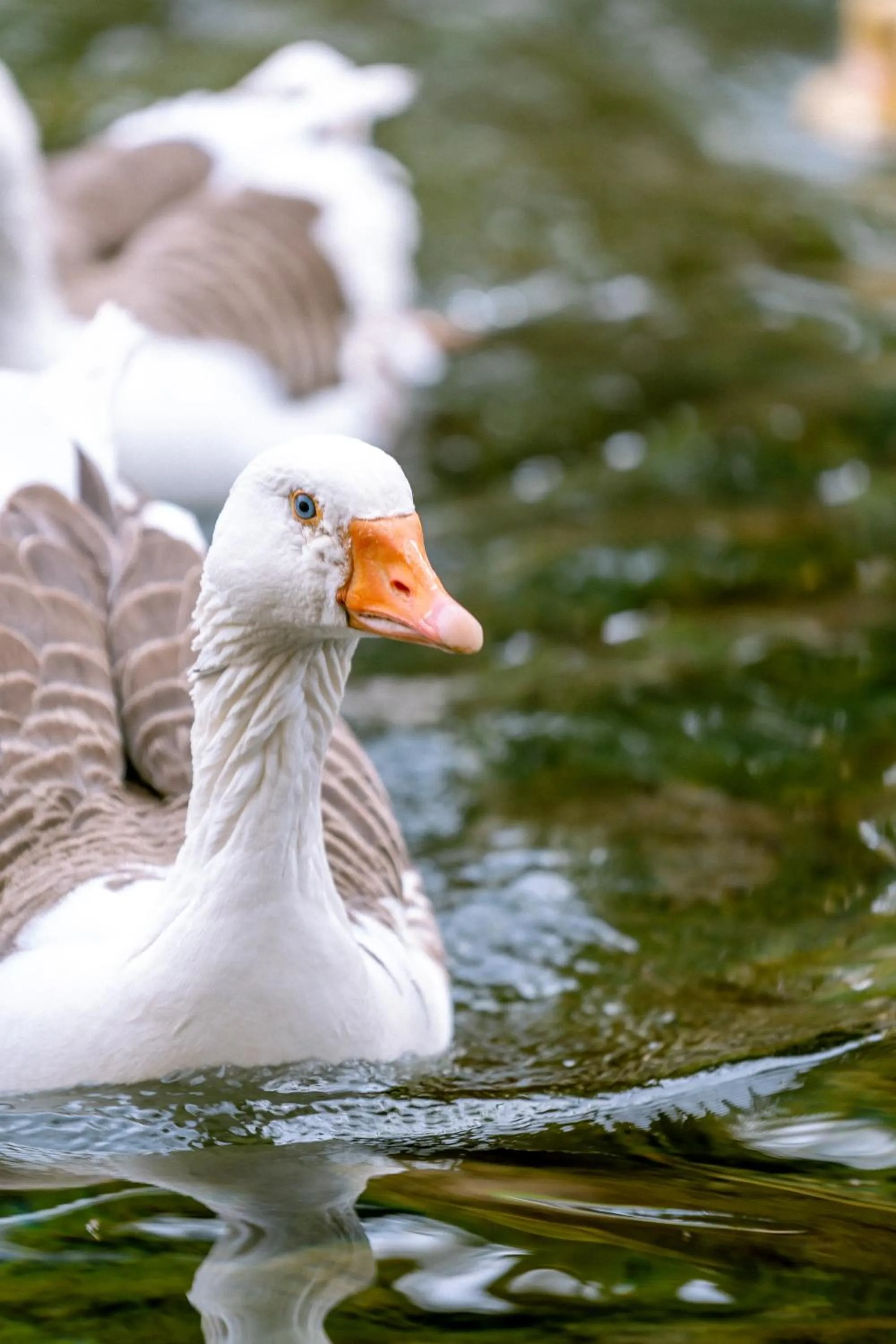 Off site in Hotel Naturaleza Vertientes de Elqui