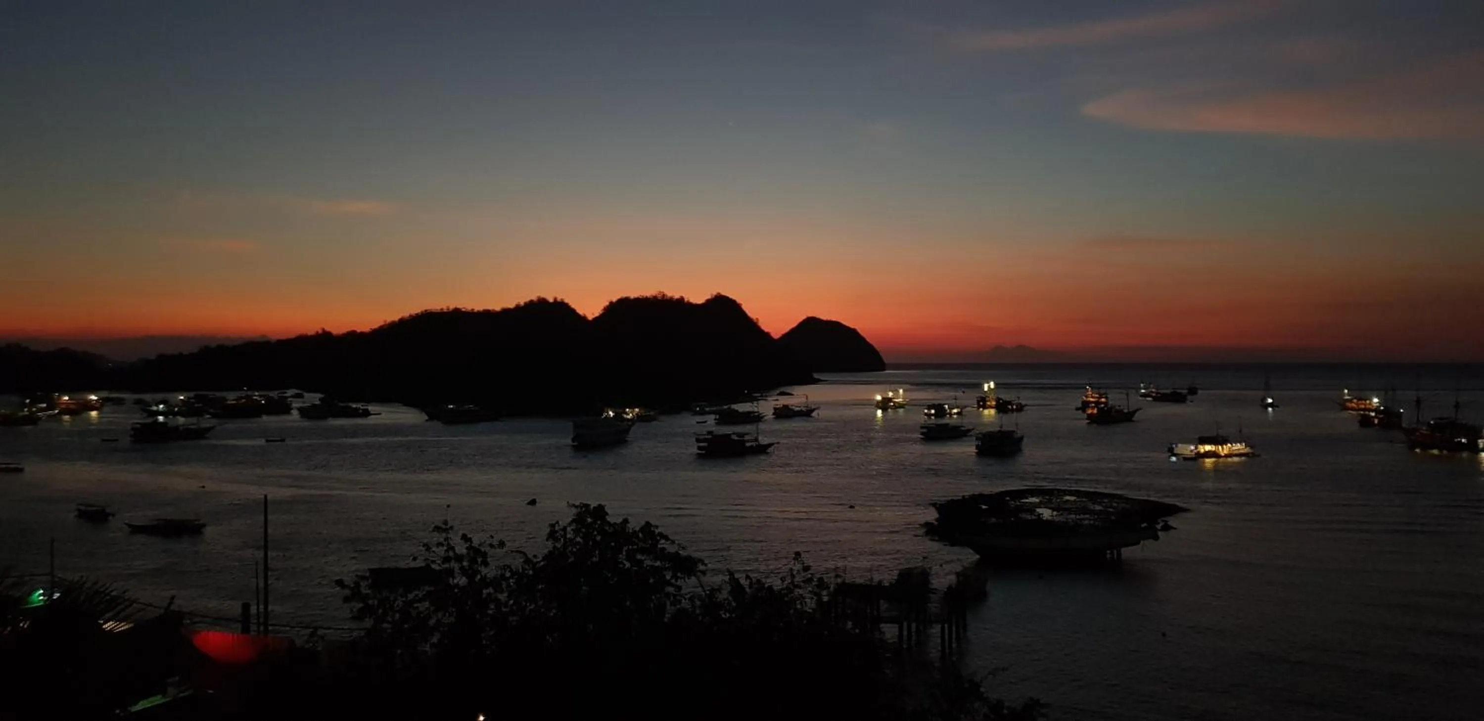 Beach in Blue Parrot