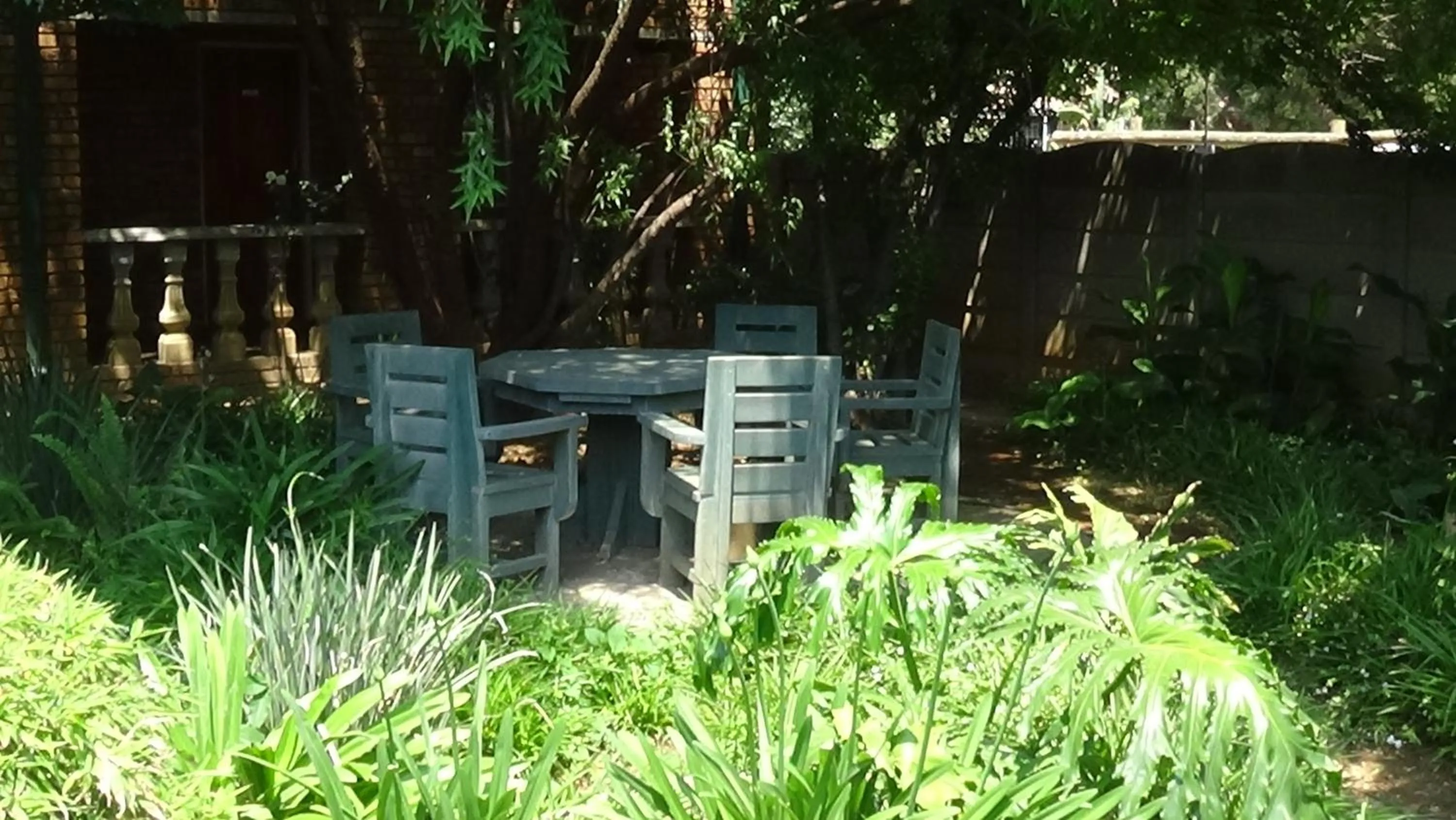 Garden in Emerald Guesthouse