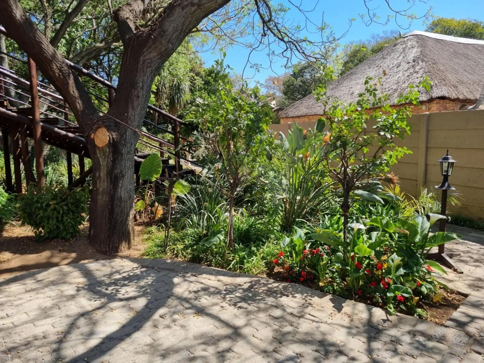 Garden in Emerald Guesthouse