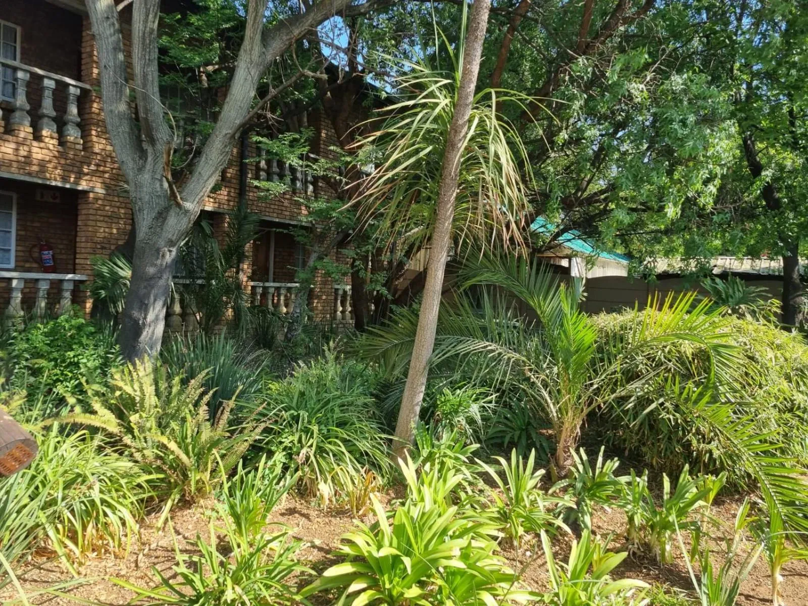 Garden in Emerald Guesthouse