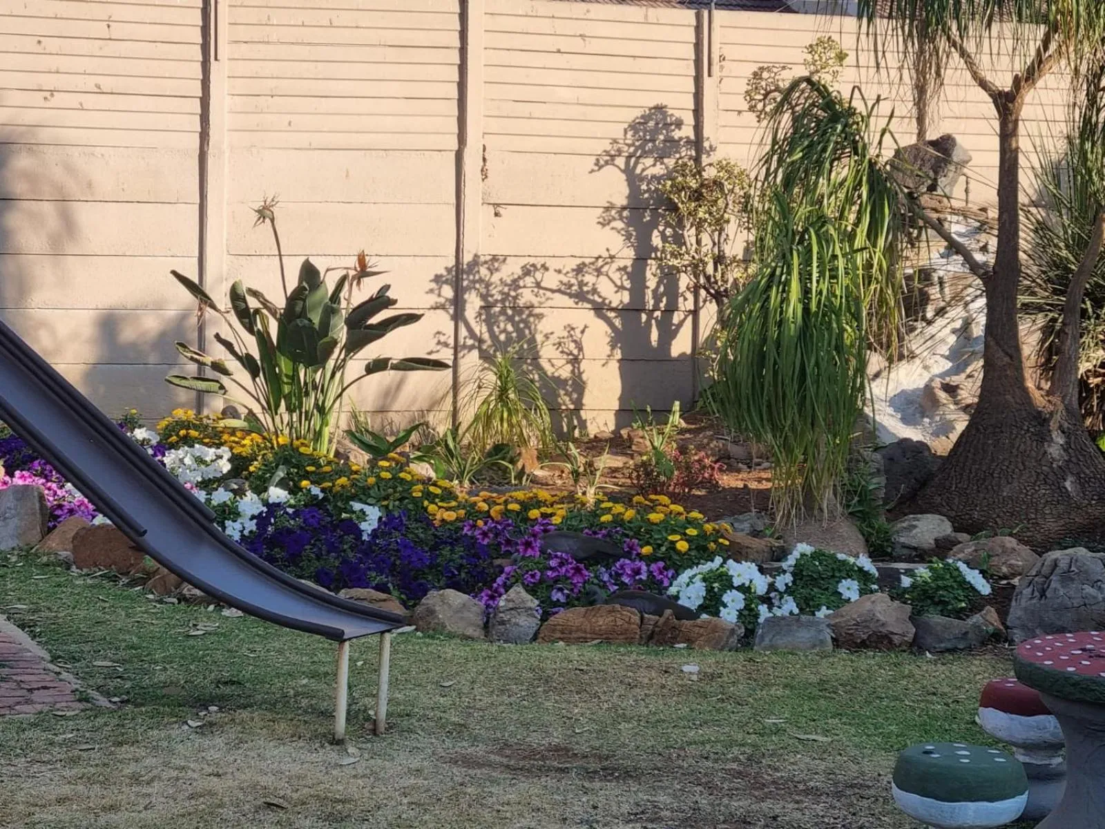 Garden view in Emerald Guesthouse