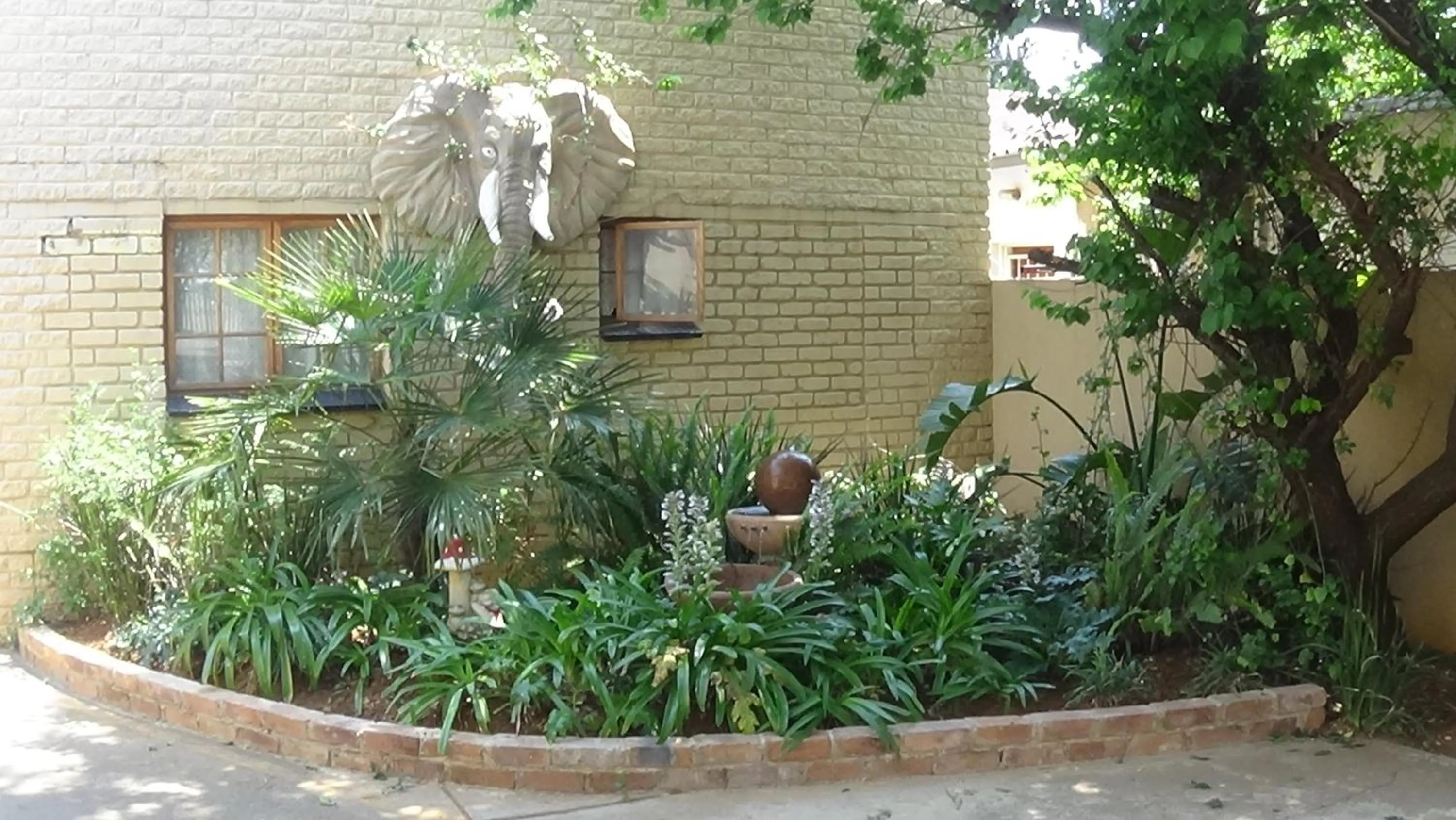 Garden in Emerald Guesthouse