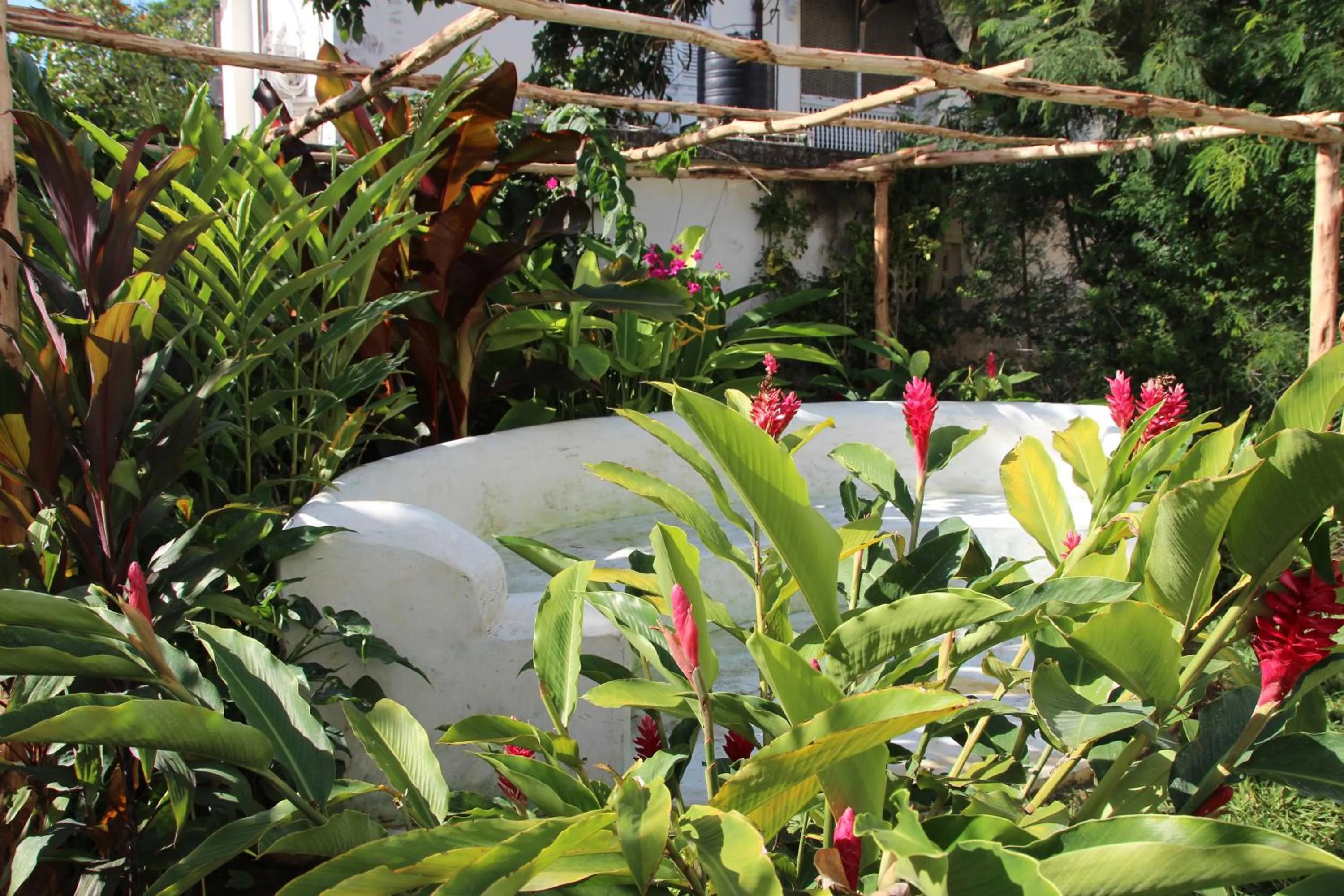 Garden in Hiliki House