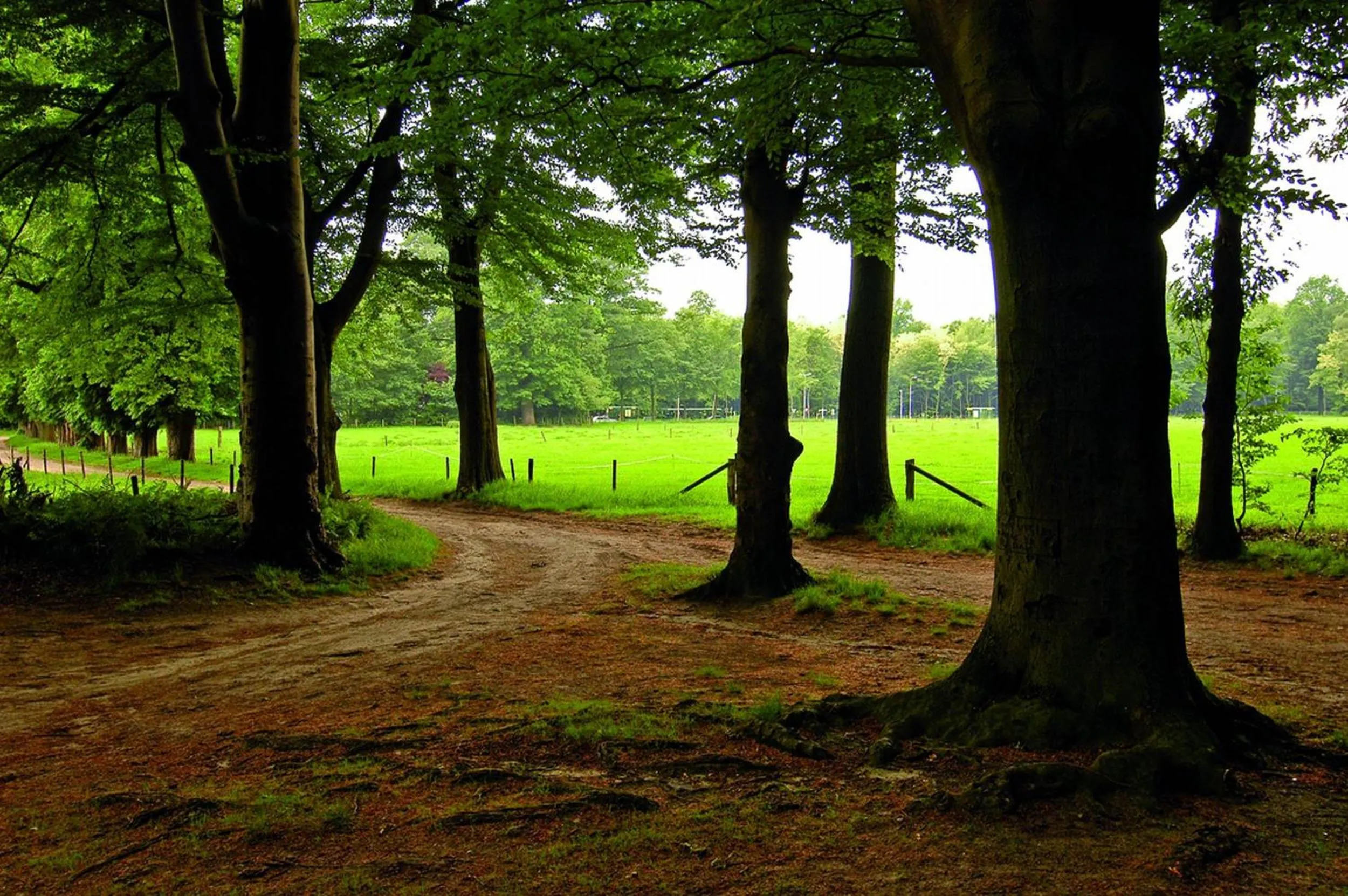 Area and facilities in Fletcher Hotel Restaurant Paasberg