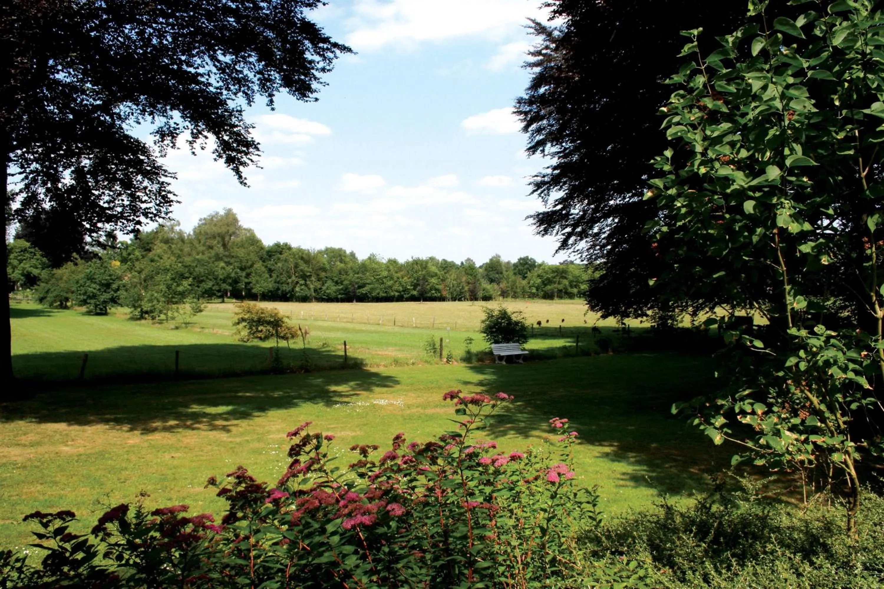 Area and facilities in Fletcher Hotel Restaurant Paasberg