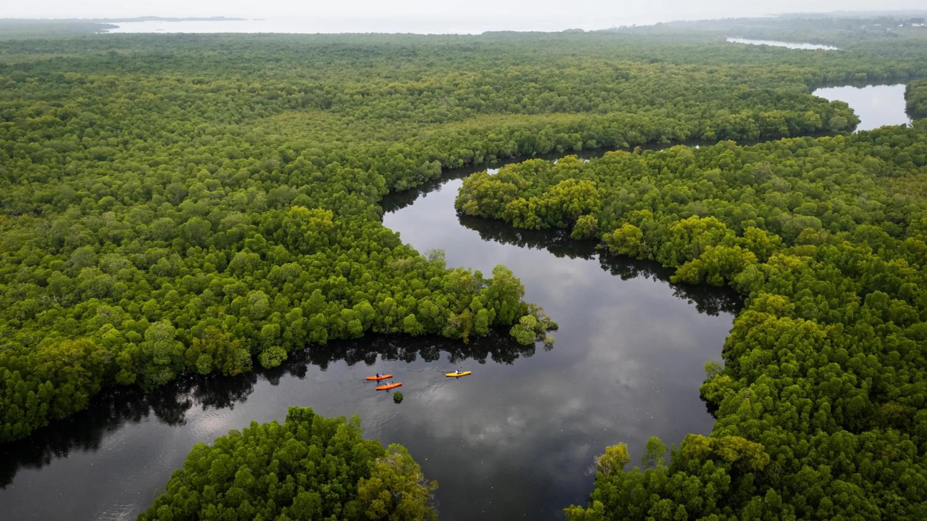 Activities in Chale Island Resort