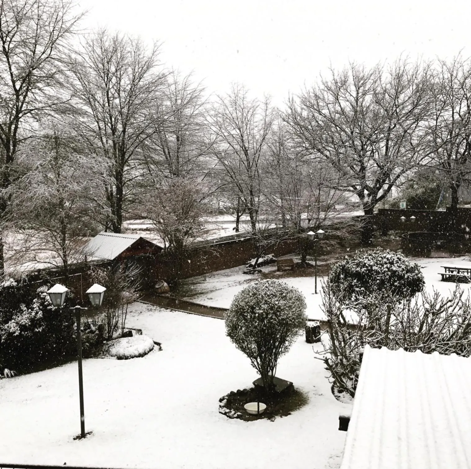 Garden in Alpine Bed and Breakfast