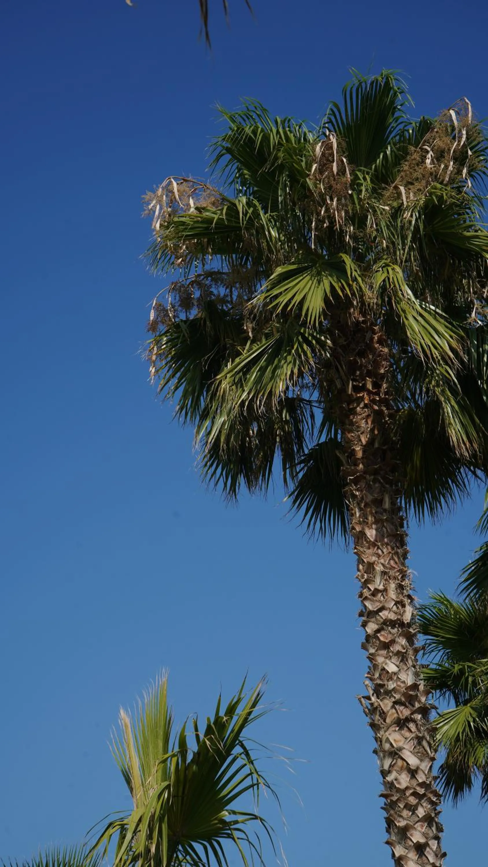 Day in Infinity Resort Tropea