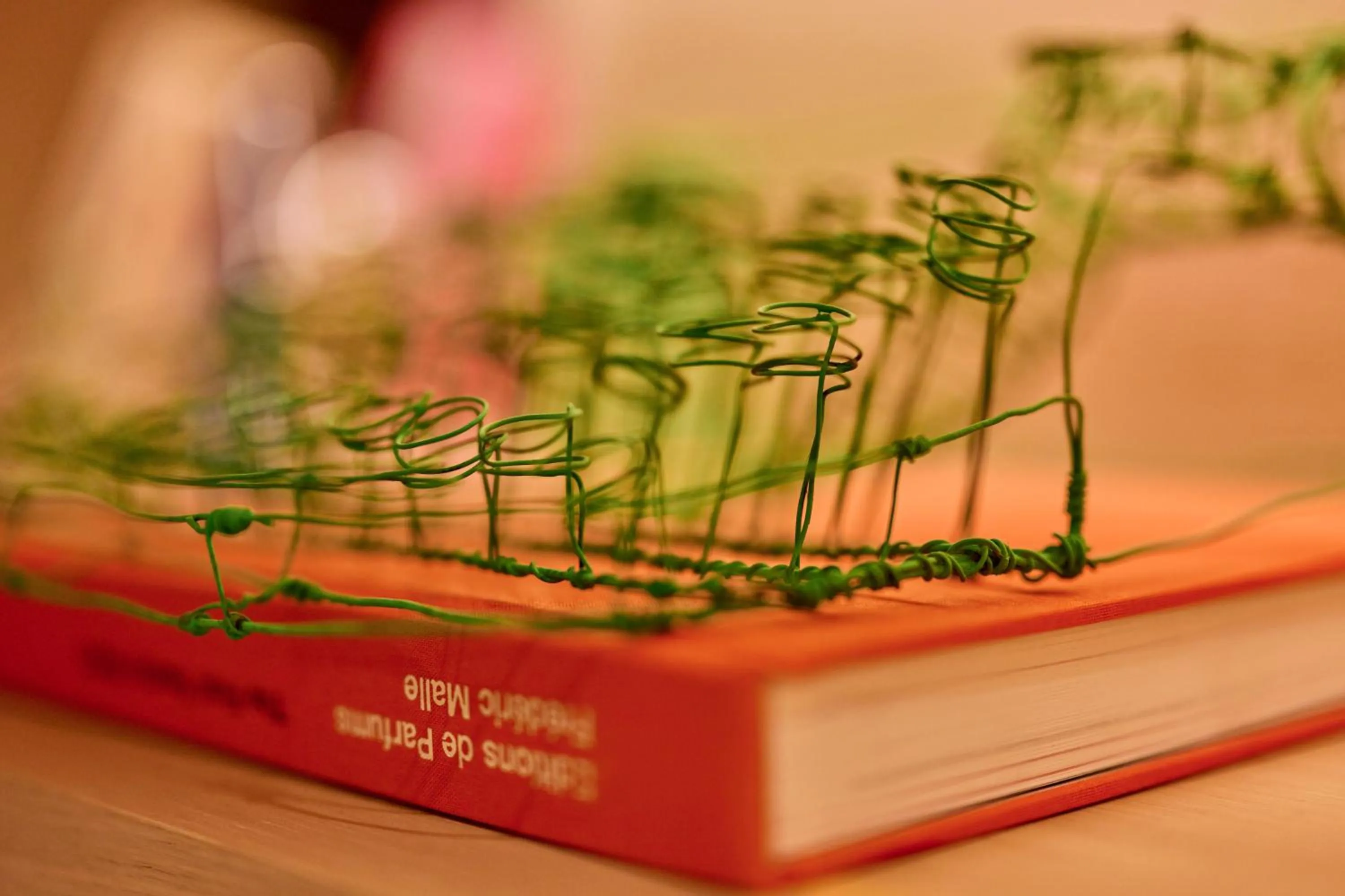 Other in The Royal Park Hotel Ginza 6-Chome