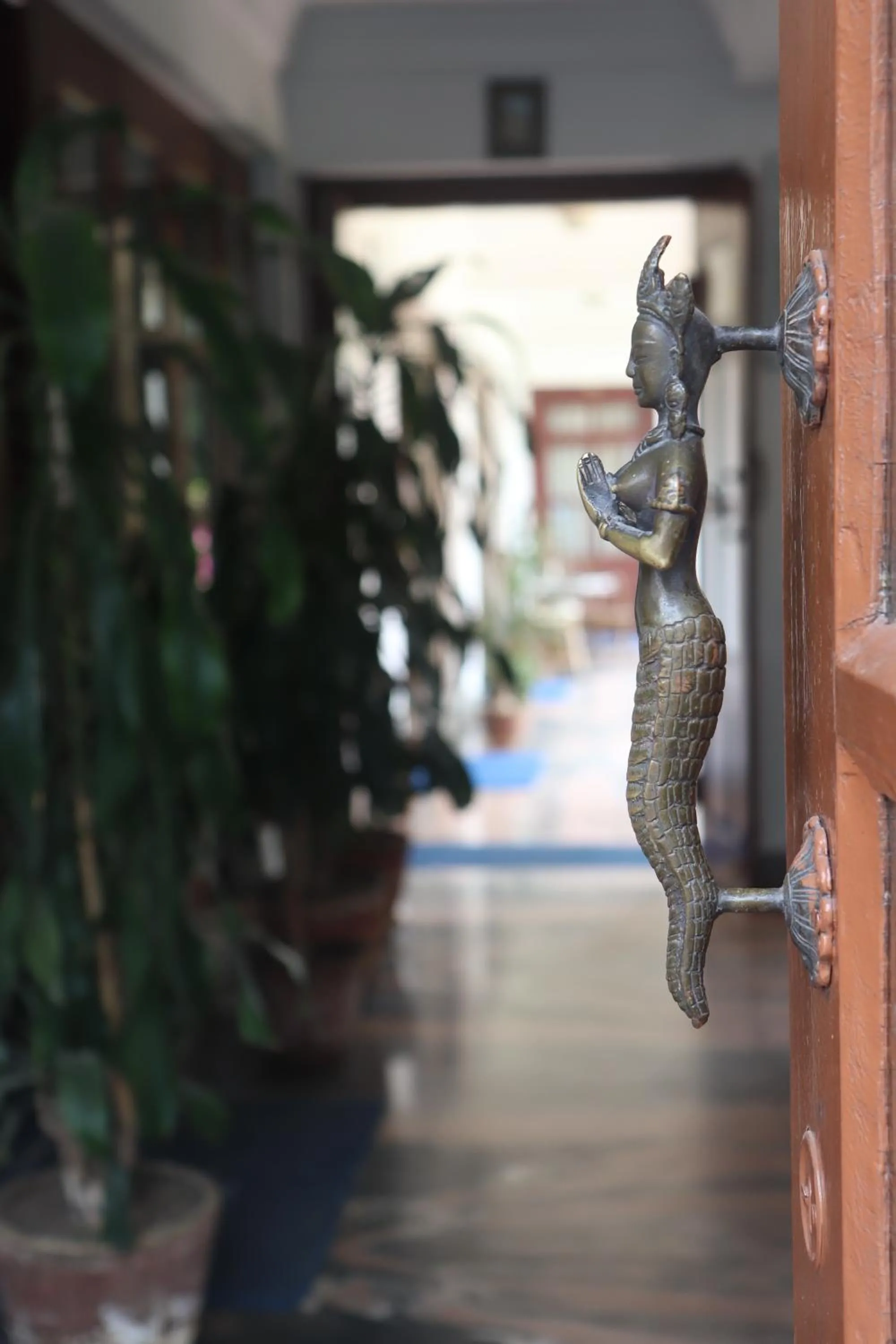 Facade/entrance in Vagabond Guest House